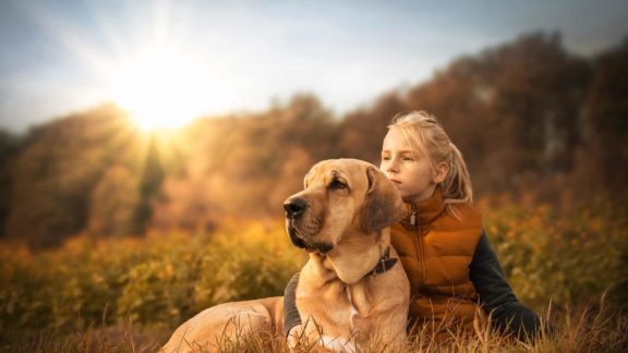 Unterkünfte für den Urlaub mit Hund