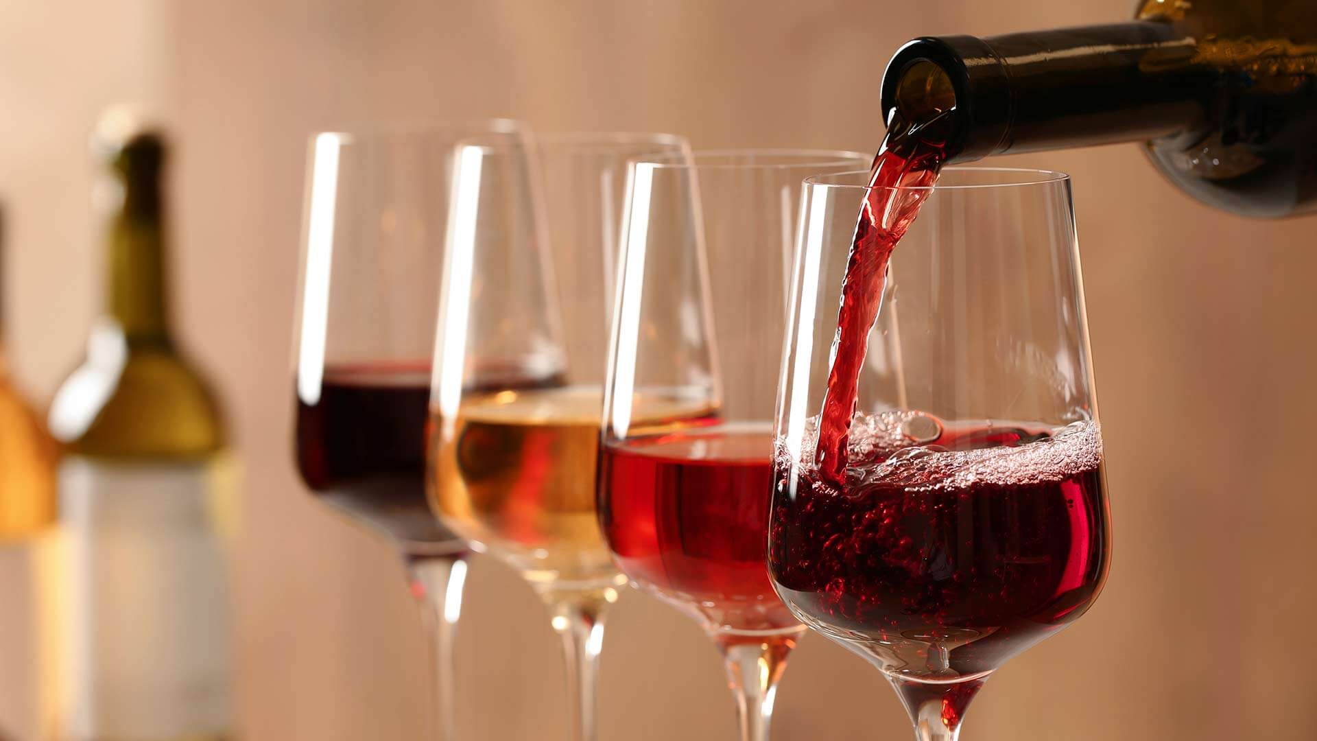 Faszination Wein