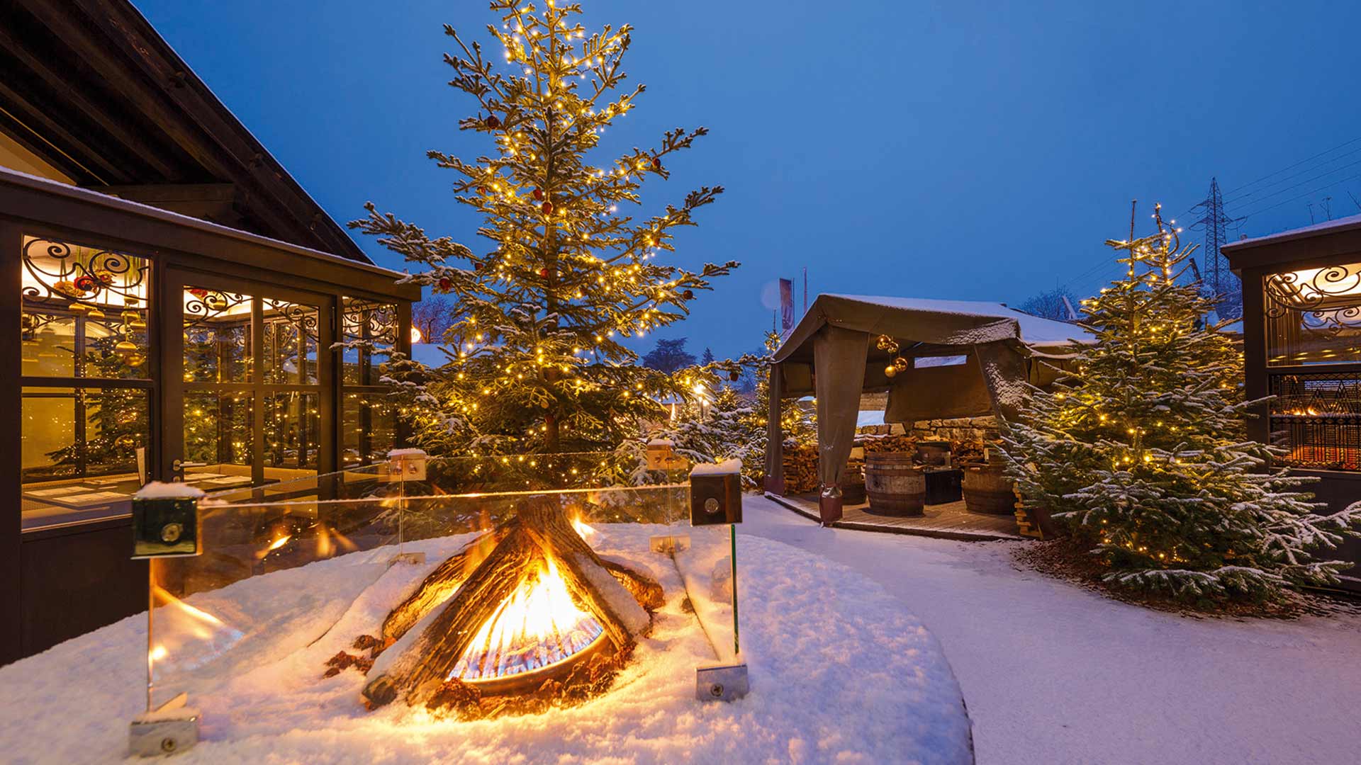 Forster Weihnachtswald