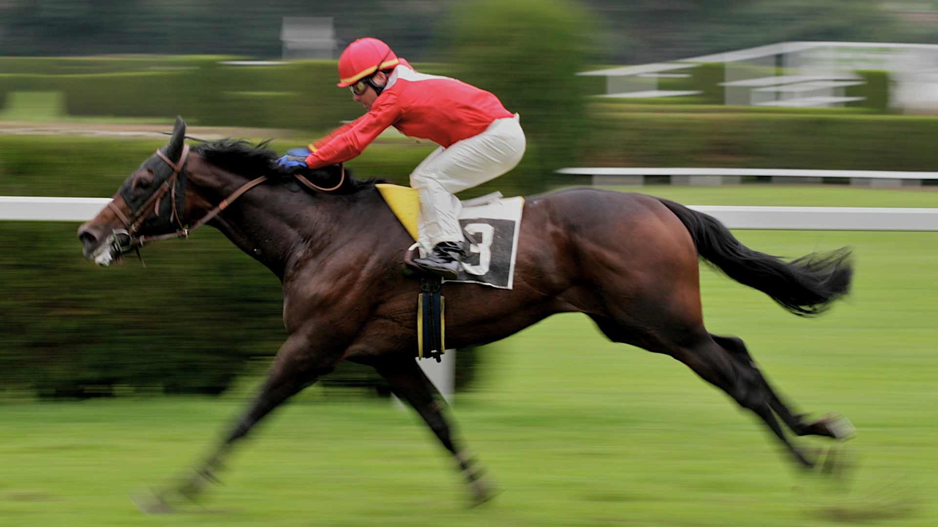 Rennen auf dem Meraner Pferderennplatz