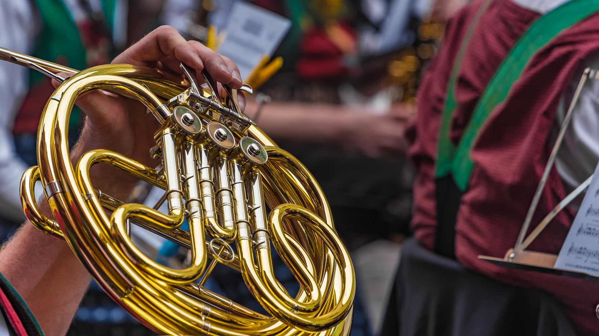 Meraner Traubenfest - Musik