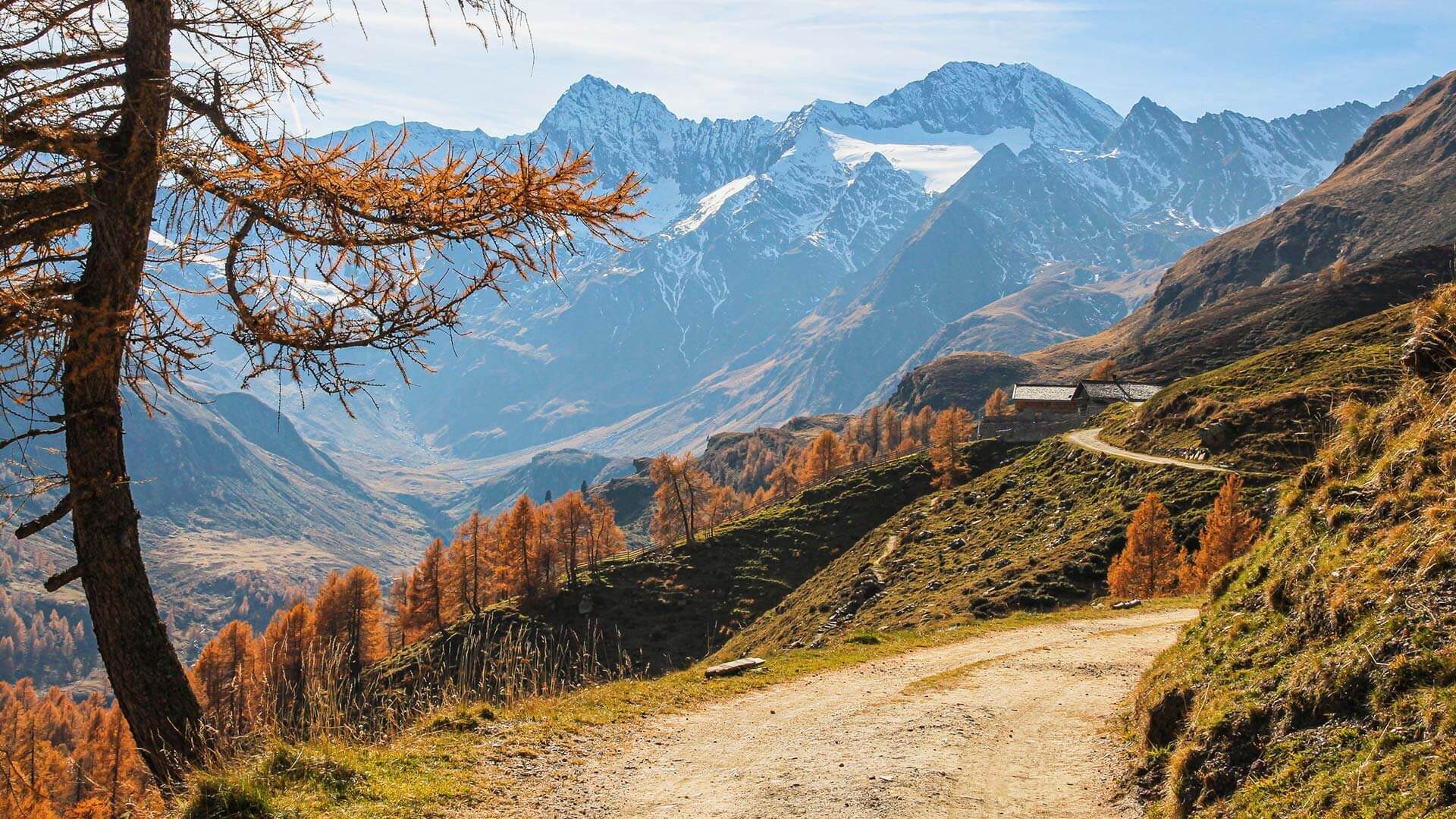 Psairer Herbst