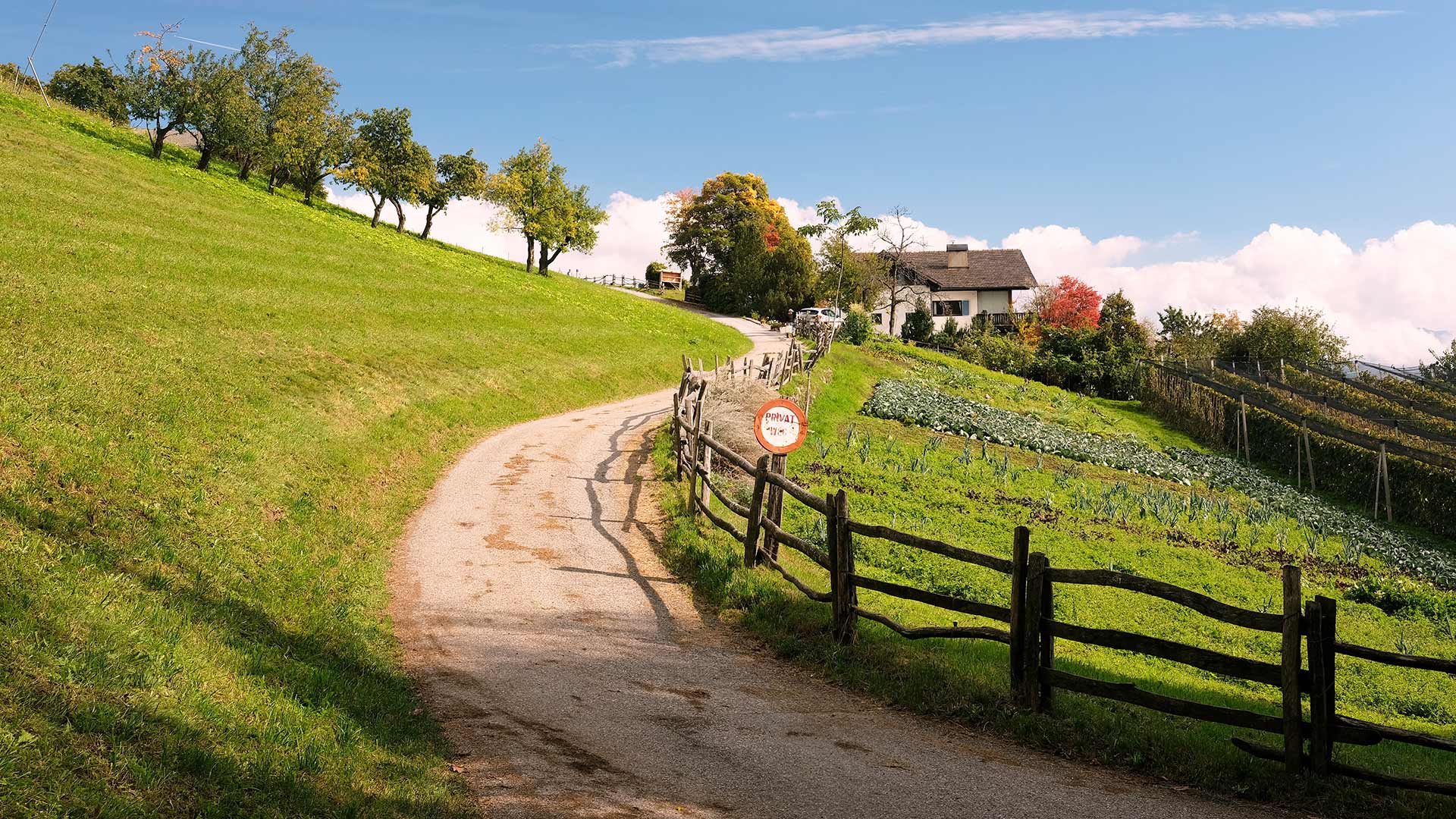 Algund - Vellau - Leiter Alm