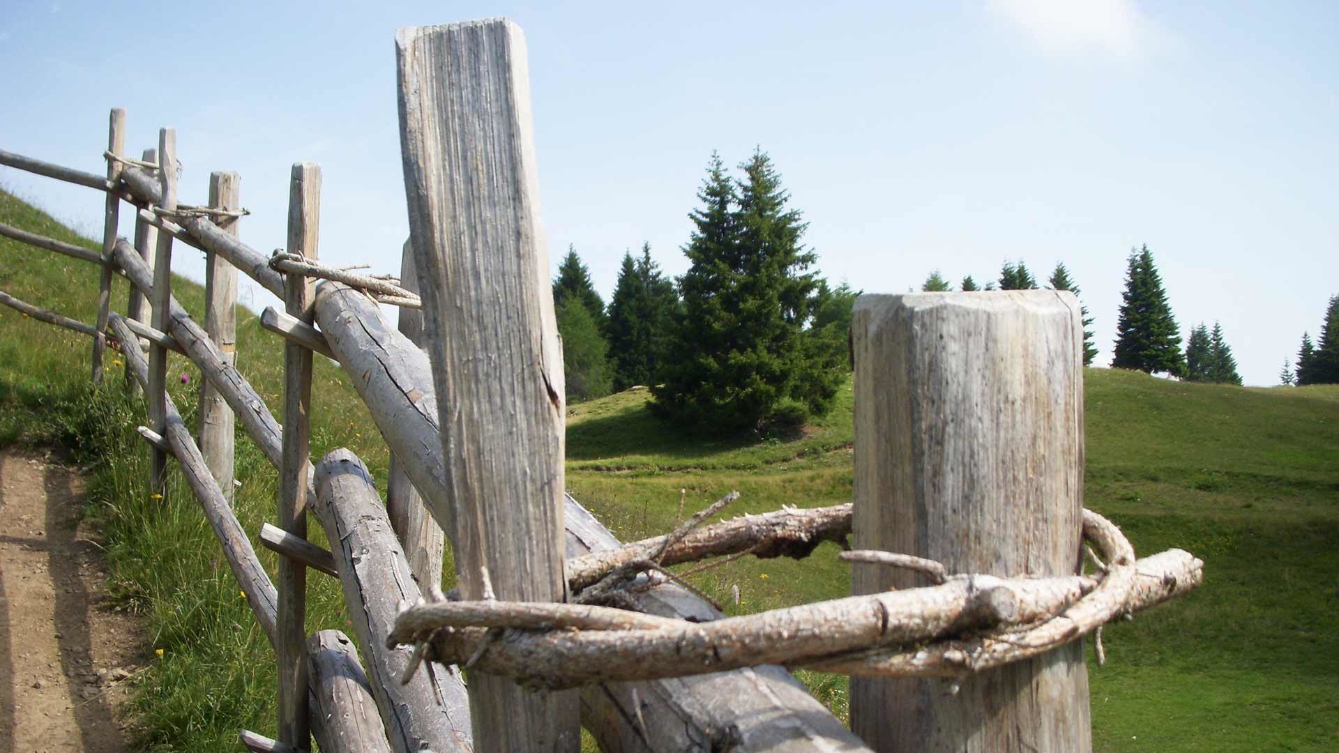 Almenrundweg in der Maddalene-Gruppe