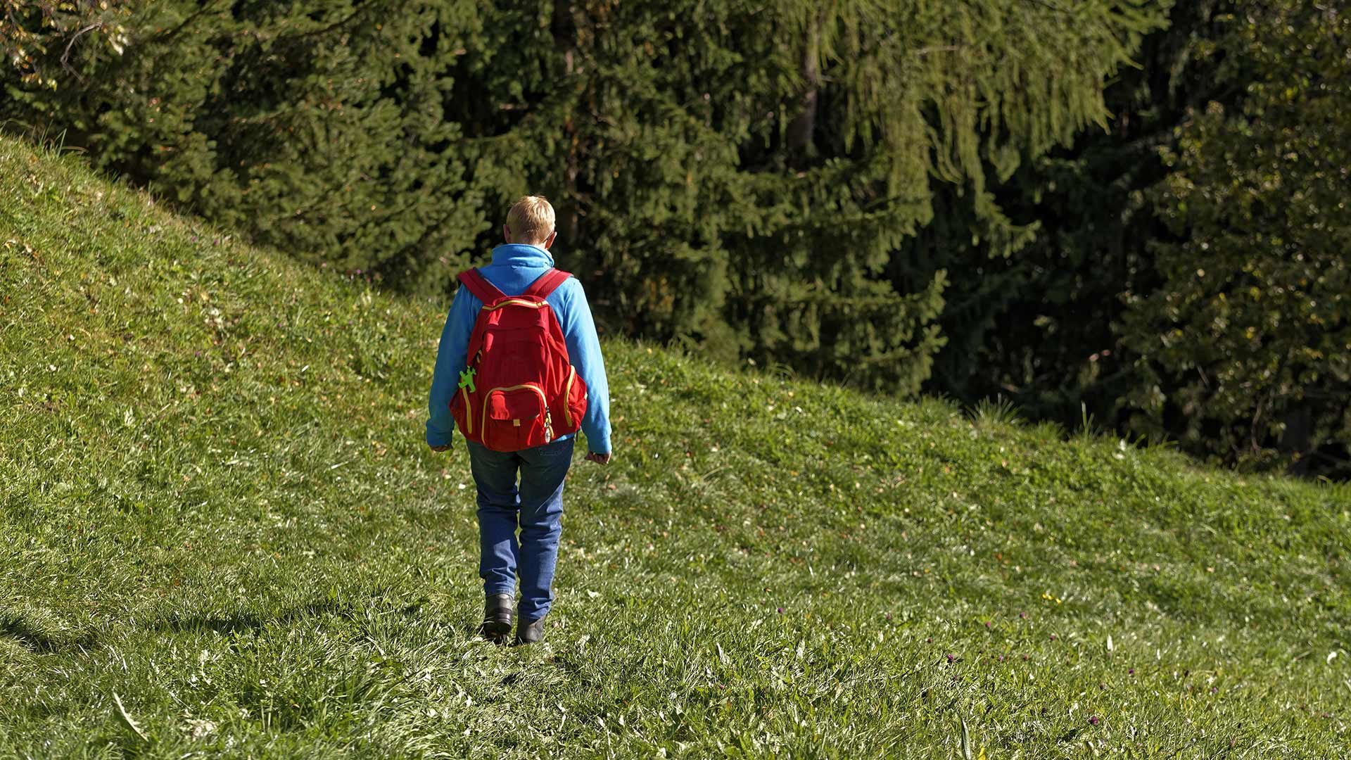 Almwanderung am Nörderberg