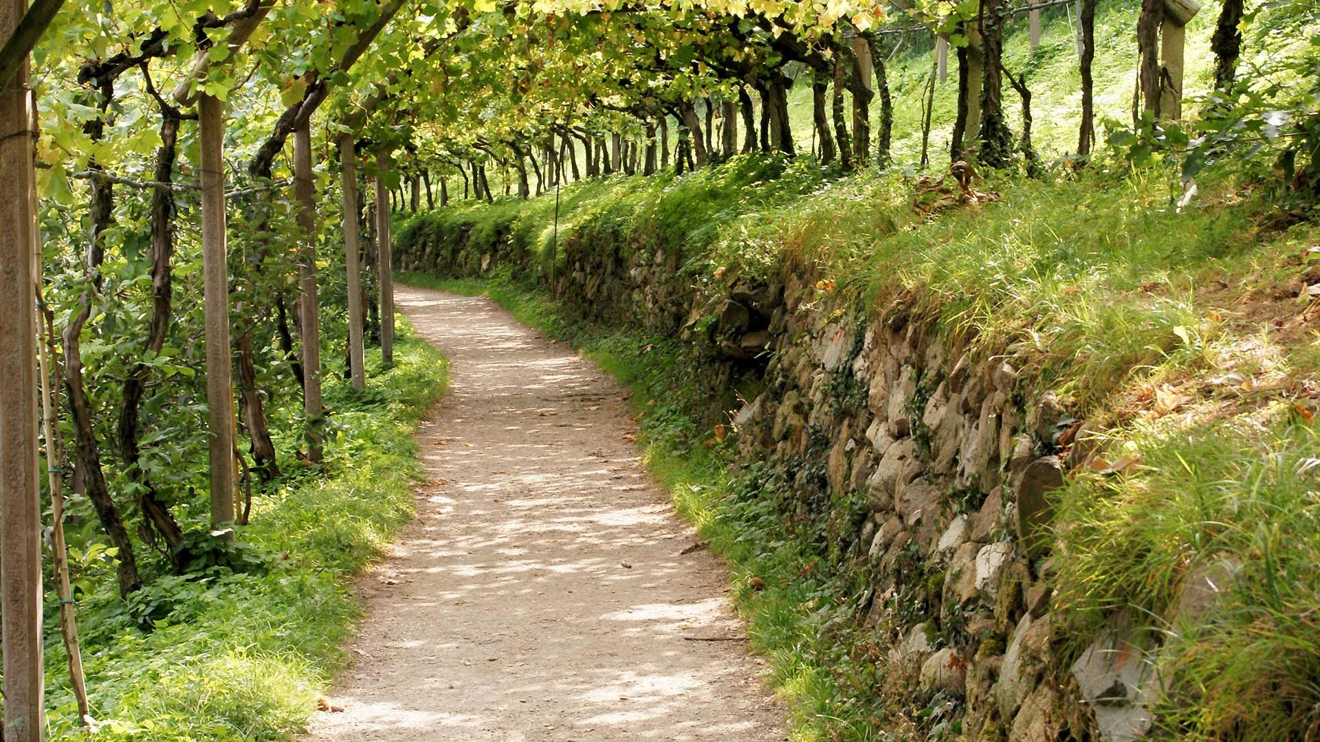 Brandis Waalweg - Wanderung