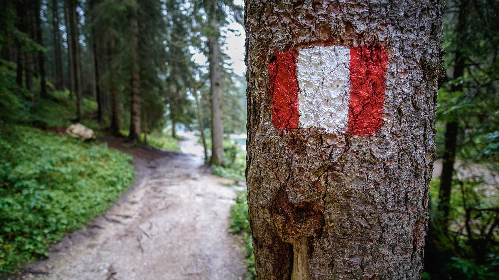 Drei-Almen-Rundwanderung