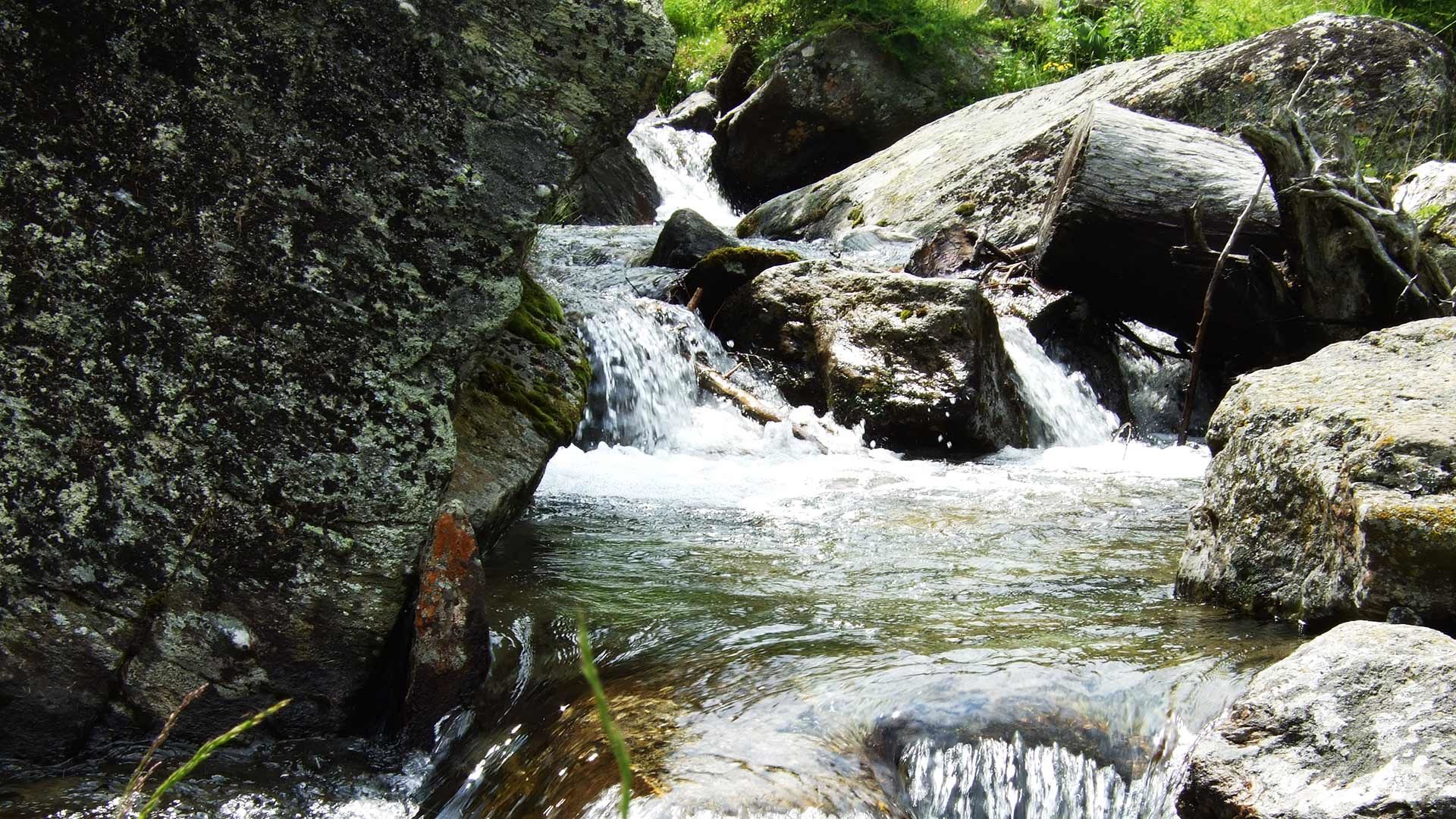 Wanderung zu den Drei Seen im Kirchbachtal