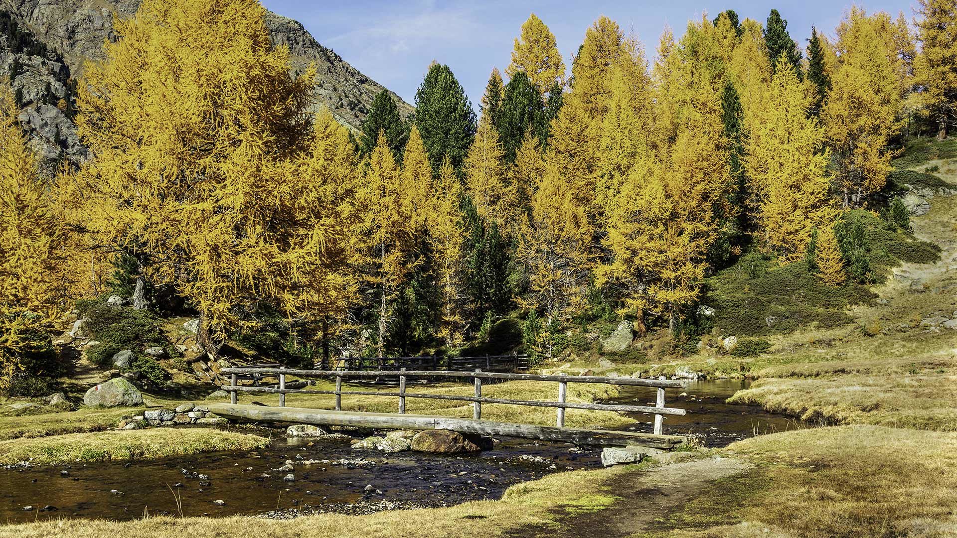 Erlebniswanderweg Proveis