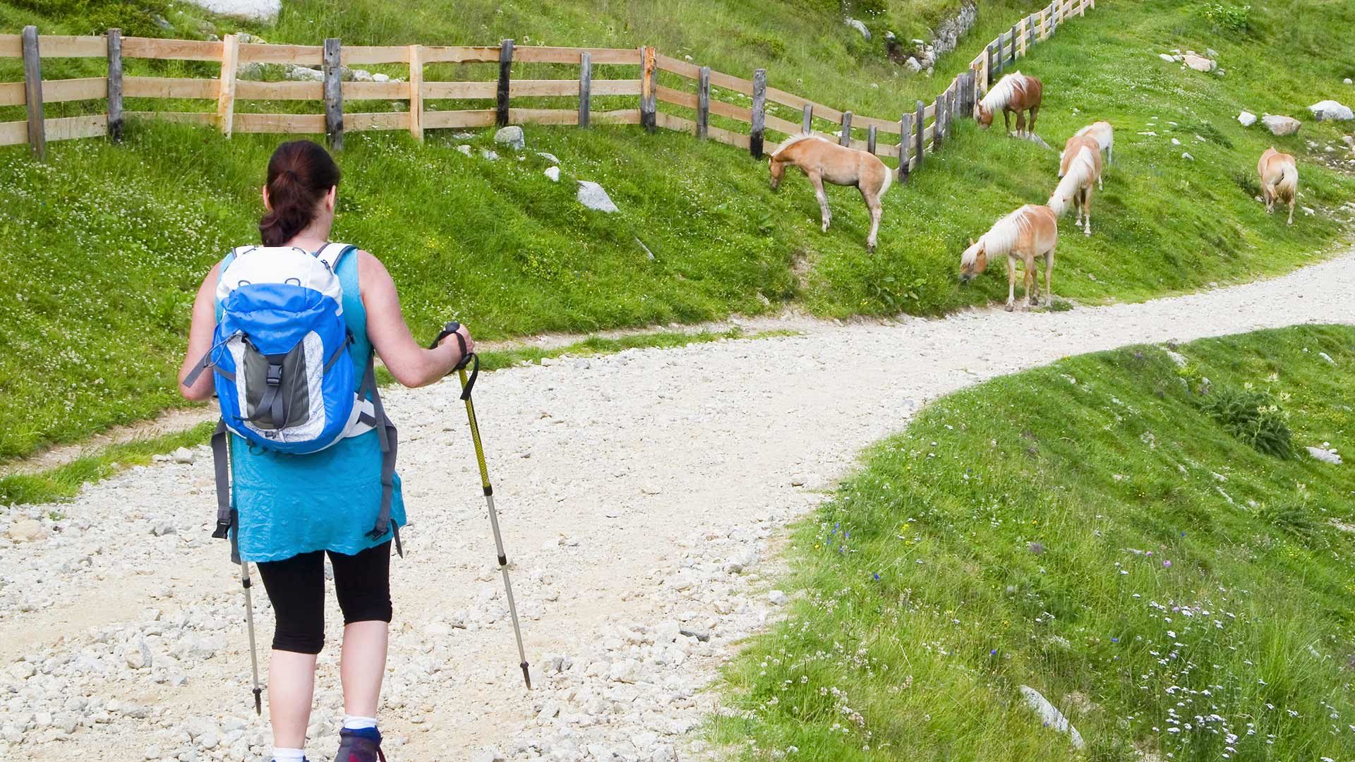 Falzeben - Meraner Hütte