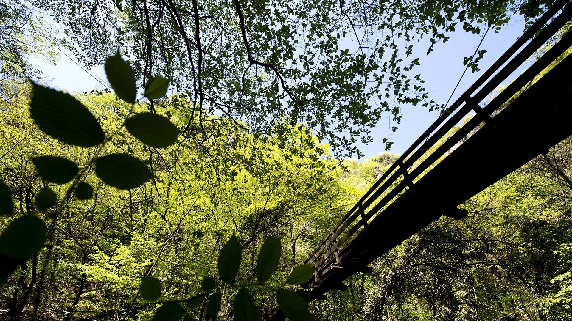 Gaulschlucht