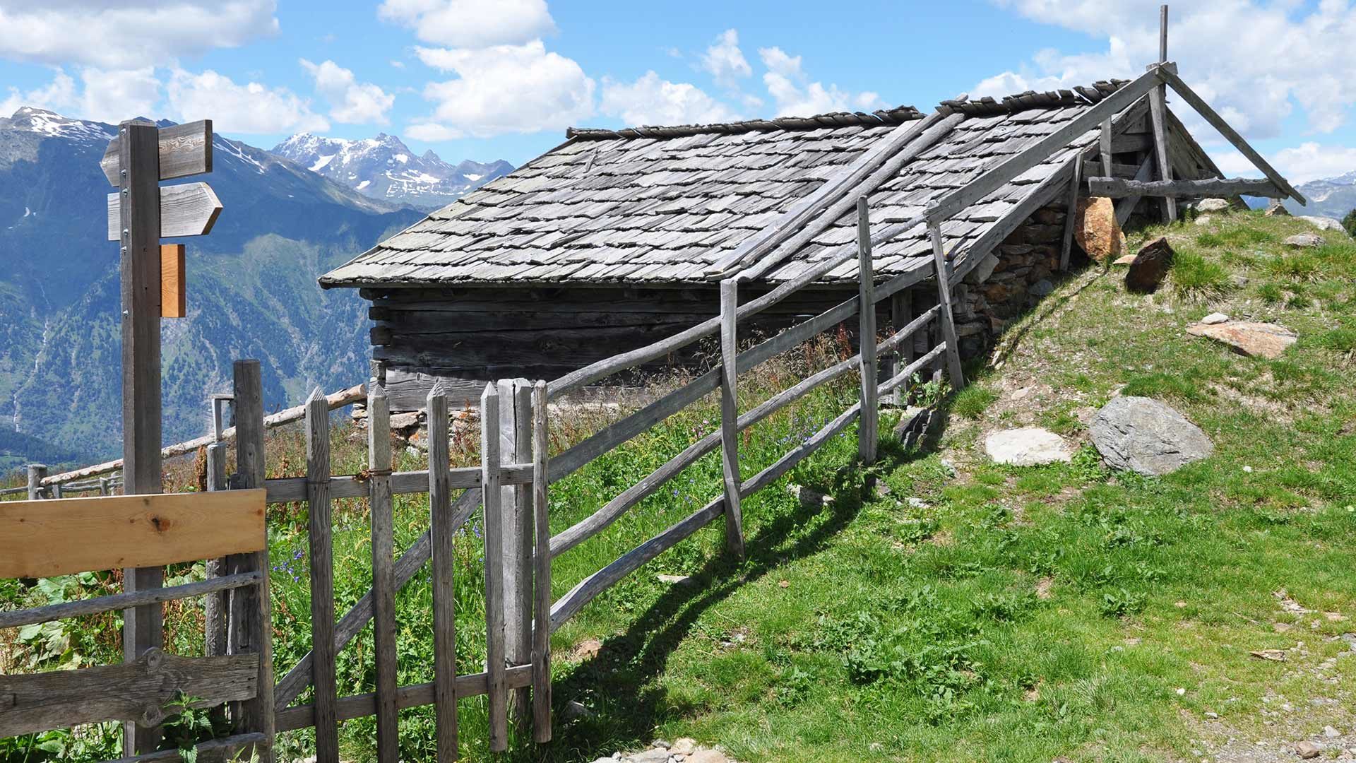 Wandergebiet Hirzer