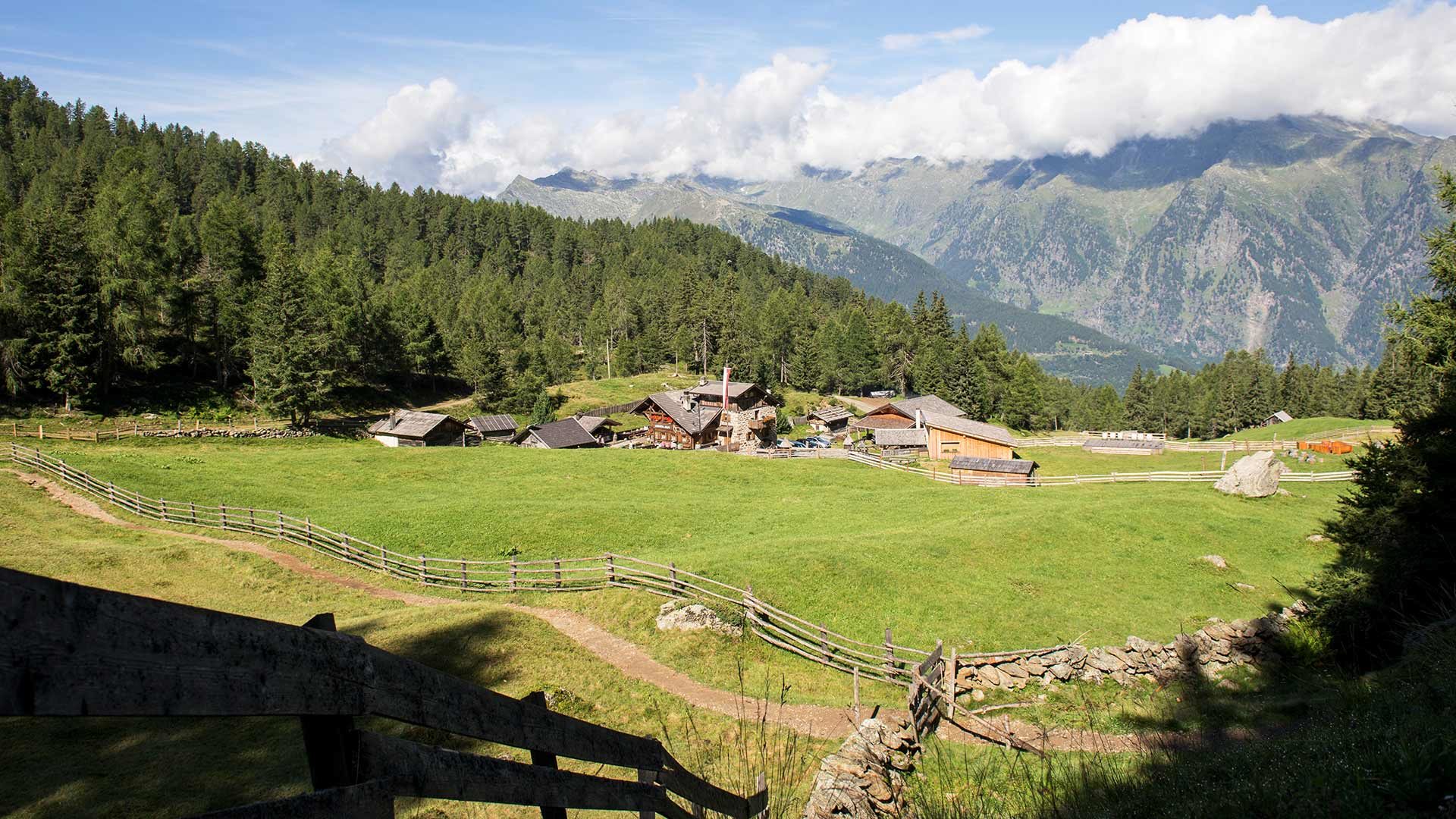 Almenrundwanderung - Hirzer