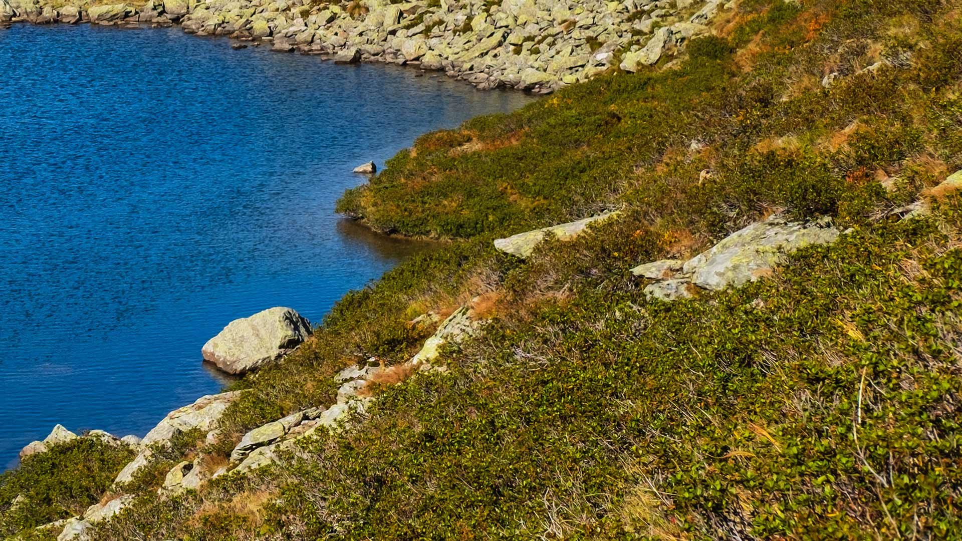 Hochwartsee