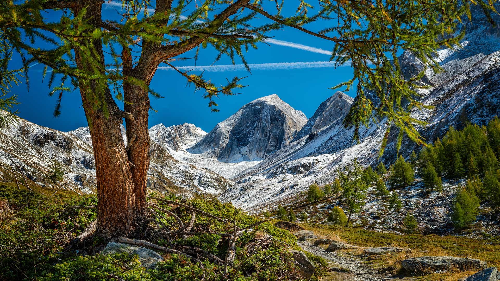 Wanderung auf die Hohe Weiße