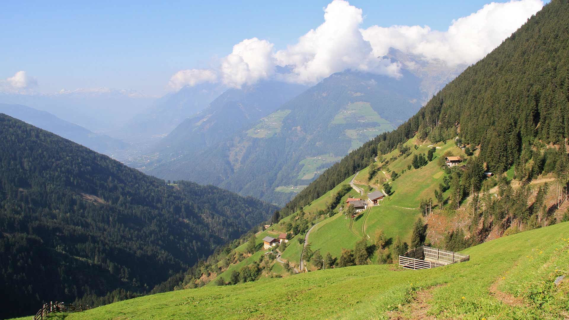 Ifingerhütte