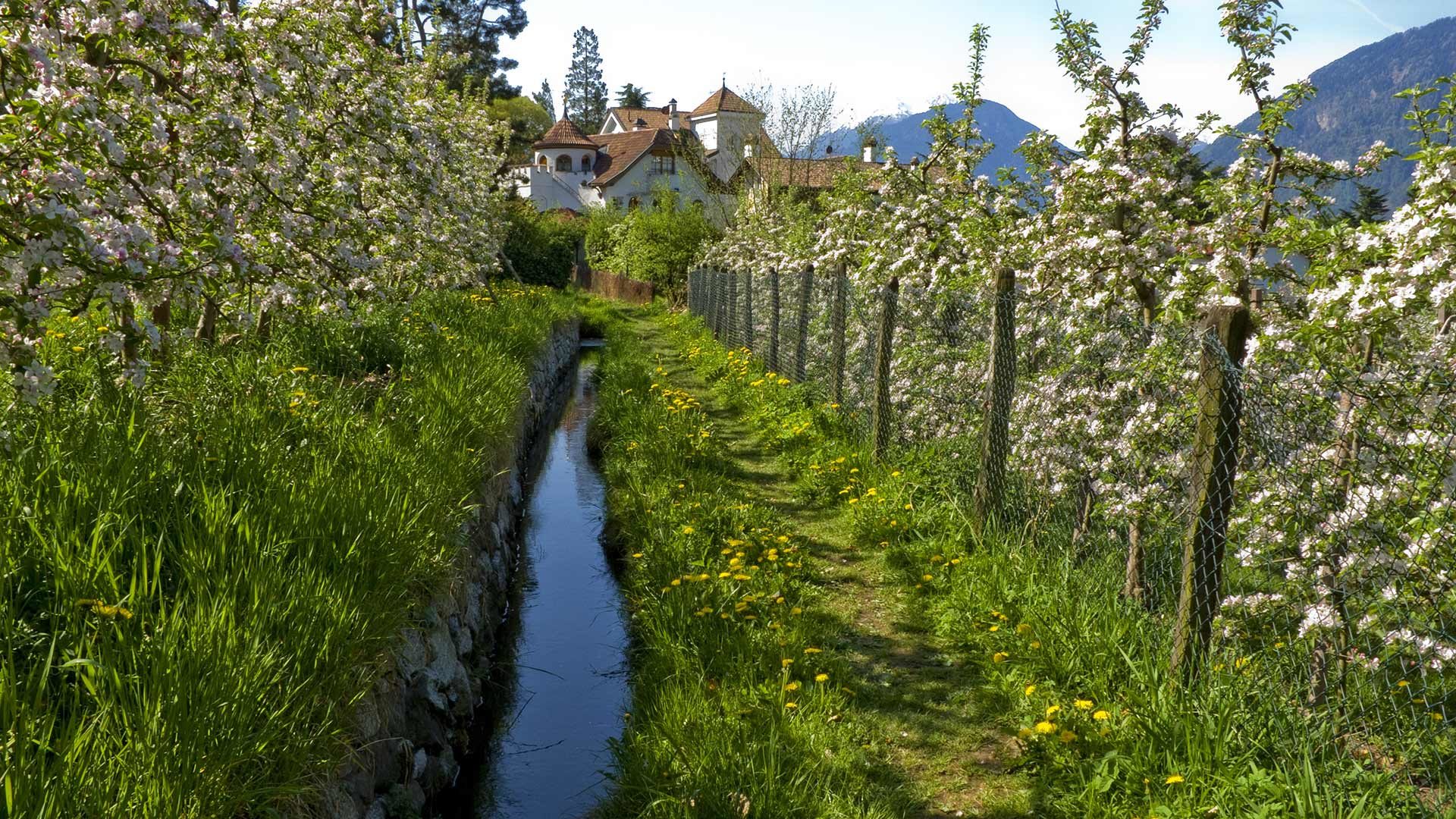 Der Maiser Waalweg