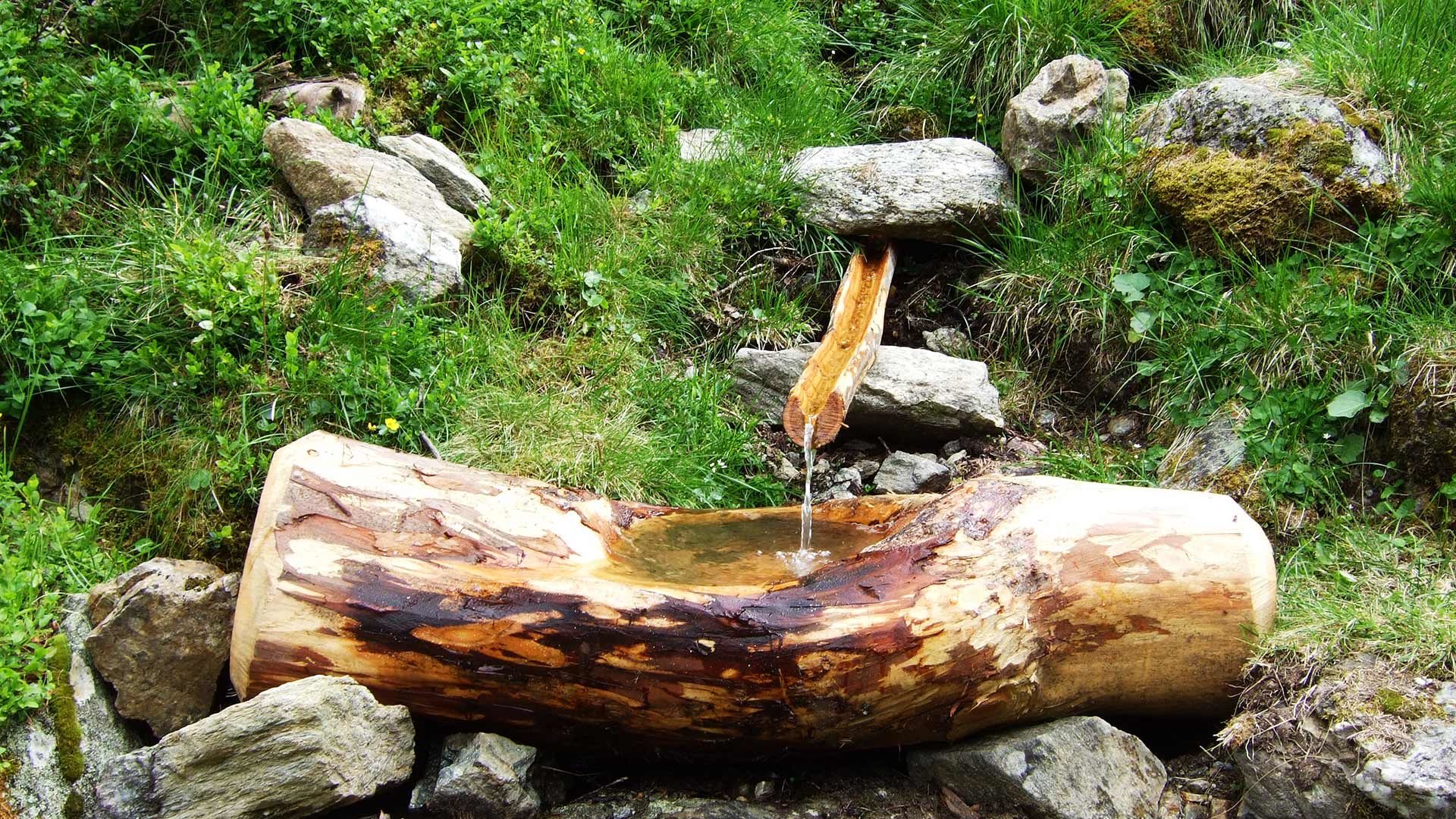 Wanderung zur Mariolbergalm
