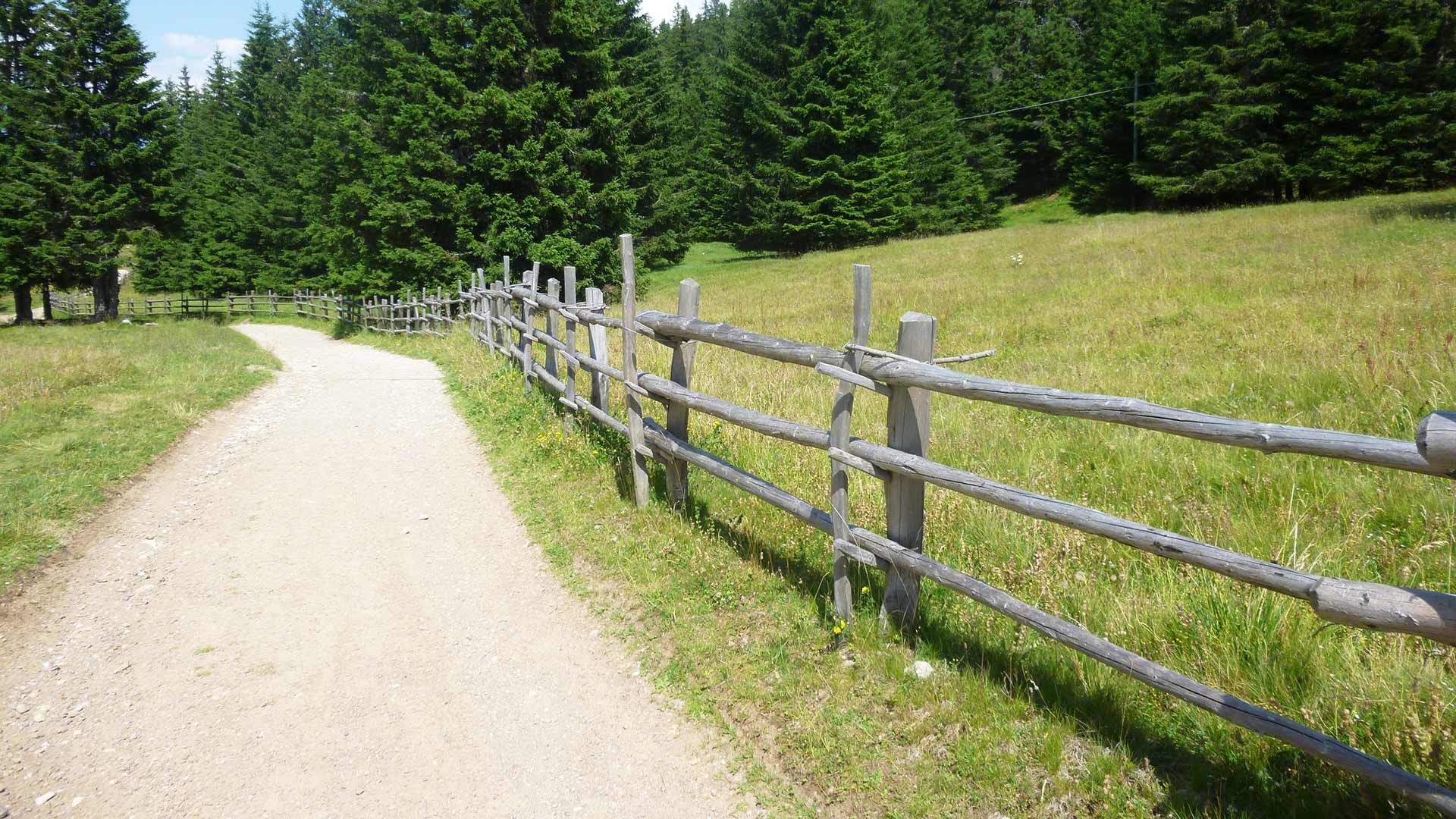 Marlinger Berg - Vigiljoch