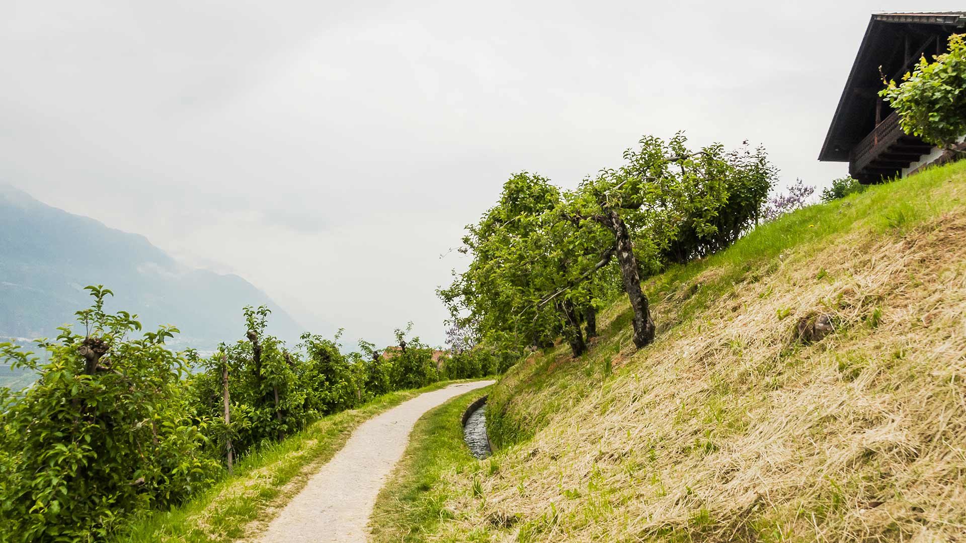 Marlinger Rundweg