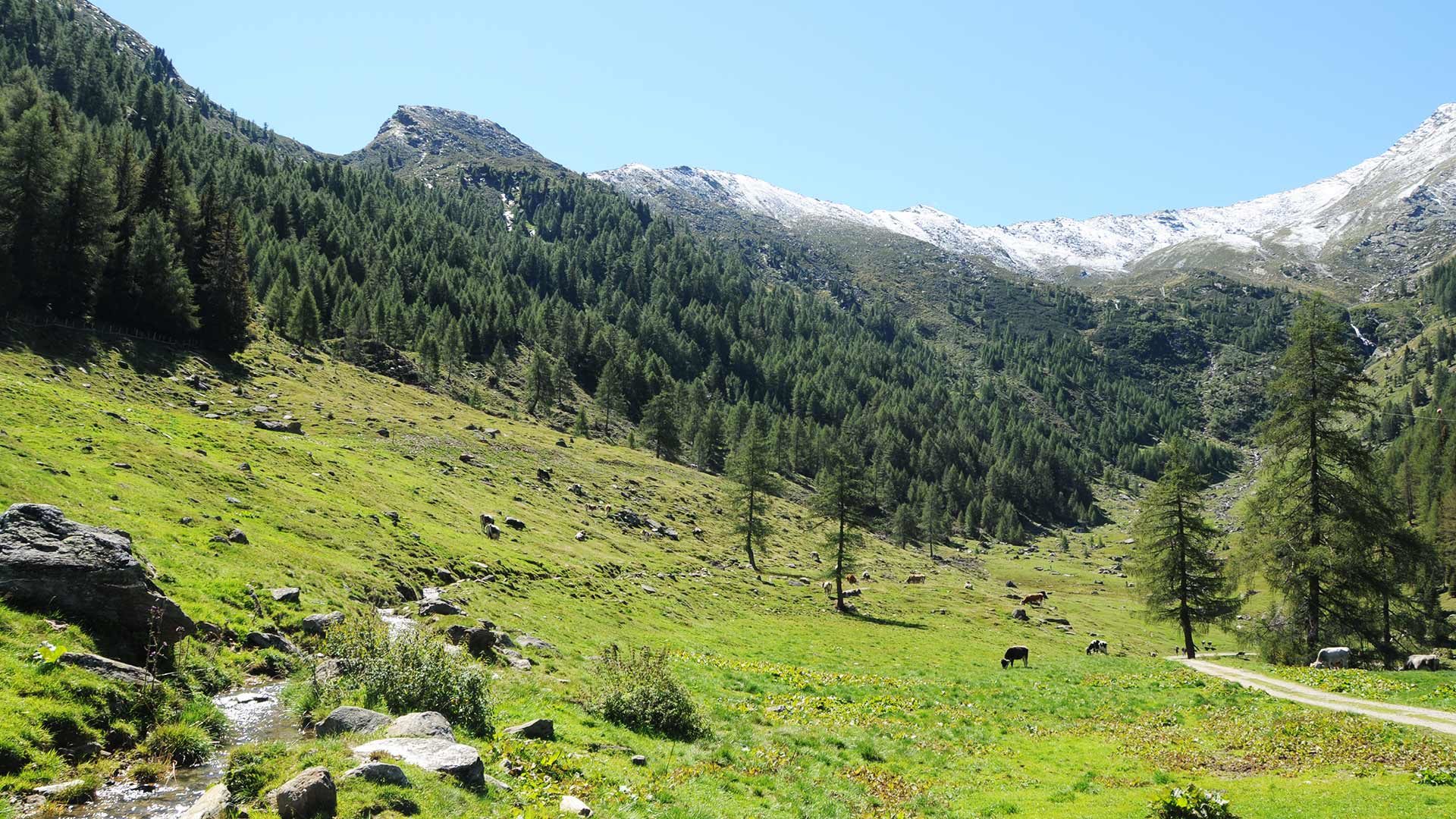 Matatzer Waalweg im hinteren Passeiertal