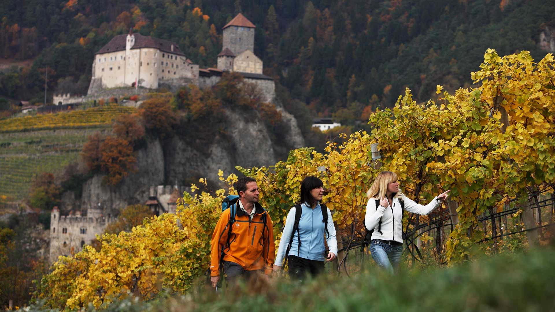 Meran - Gfeis - Spronsertal - Dorf Tirol - Meran