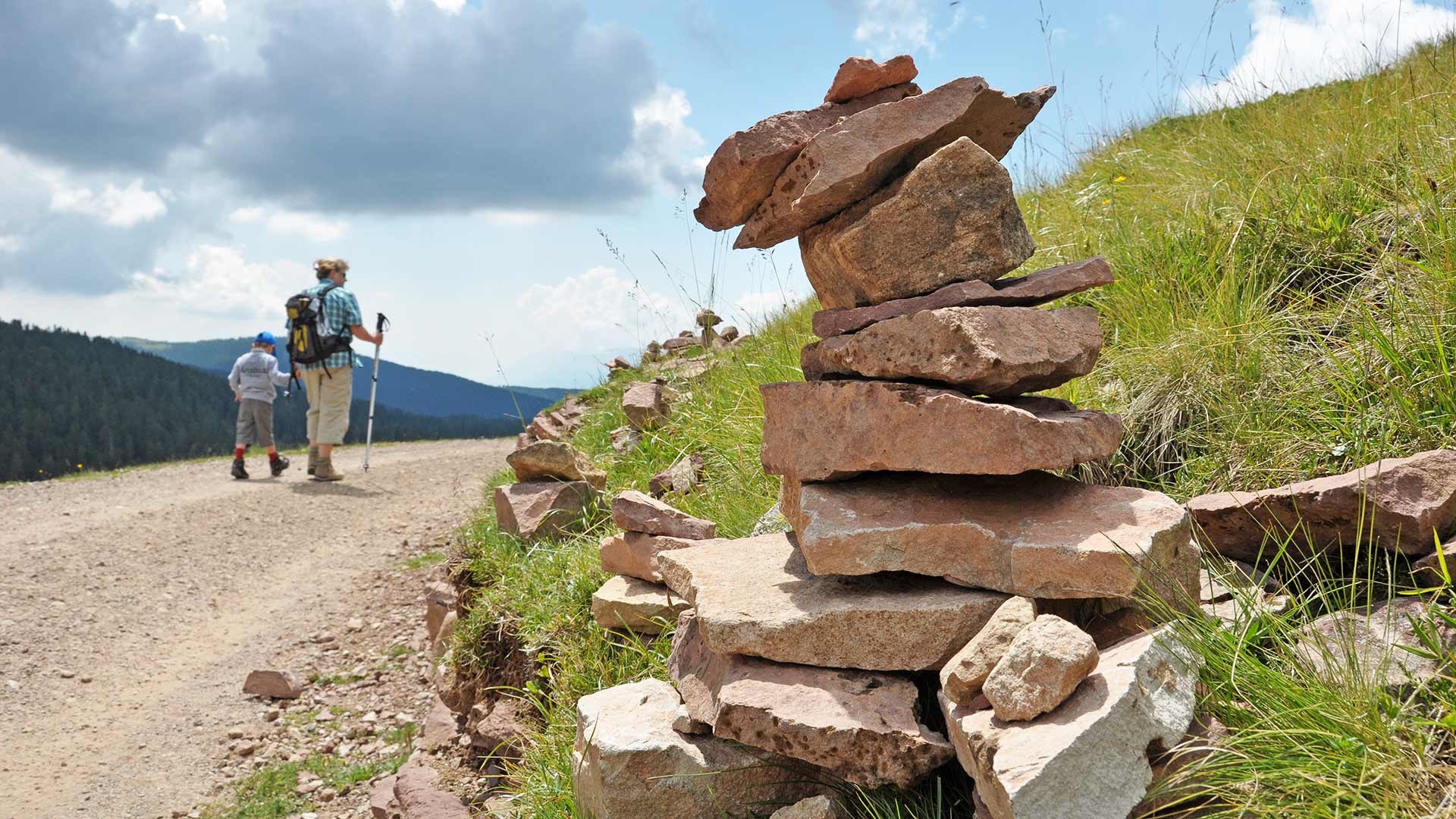 Zur Moschwald- und Maiseralm