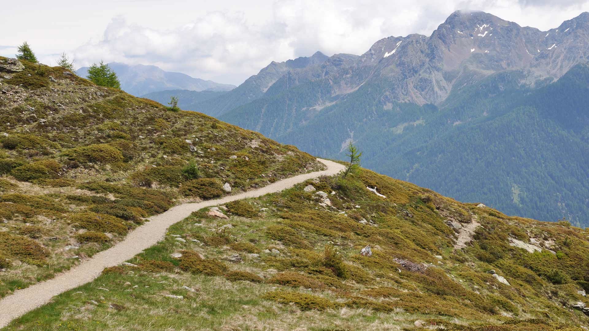 Wanderung Mutegg