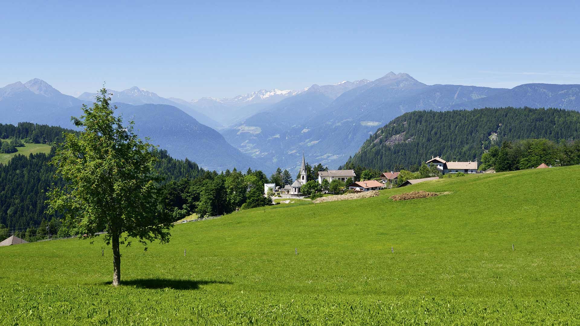 Wanderung nach Hafling