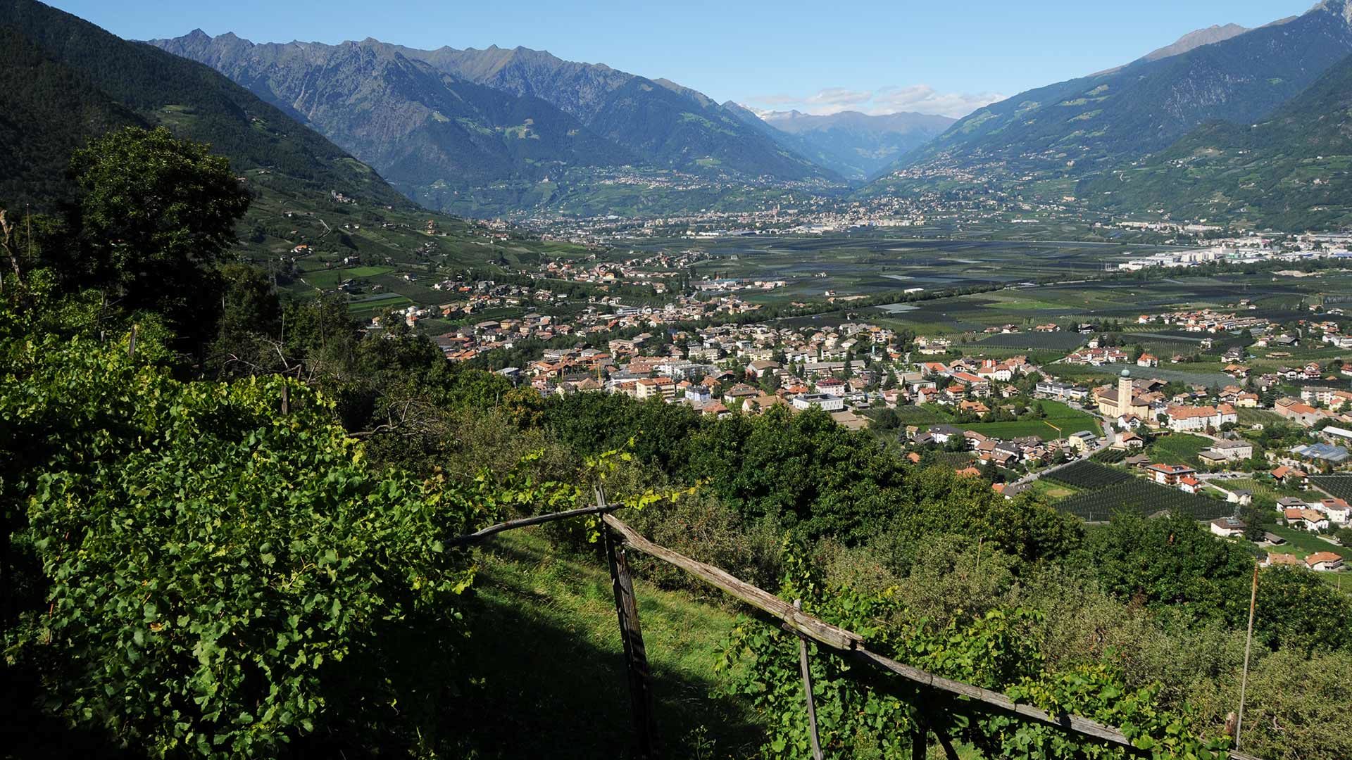 Natur- und Kulturlehrpfad Aichbergweg