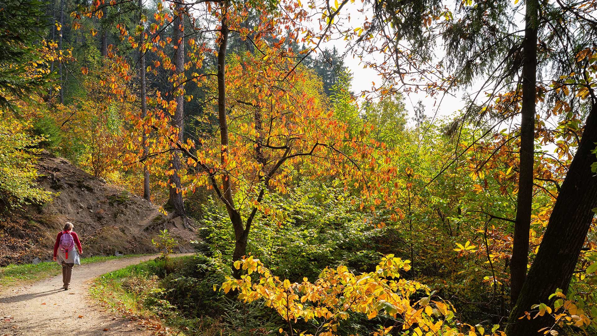 Naturnser Wallburgweg