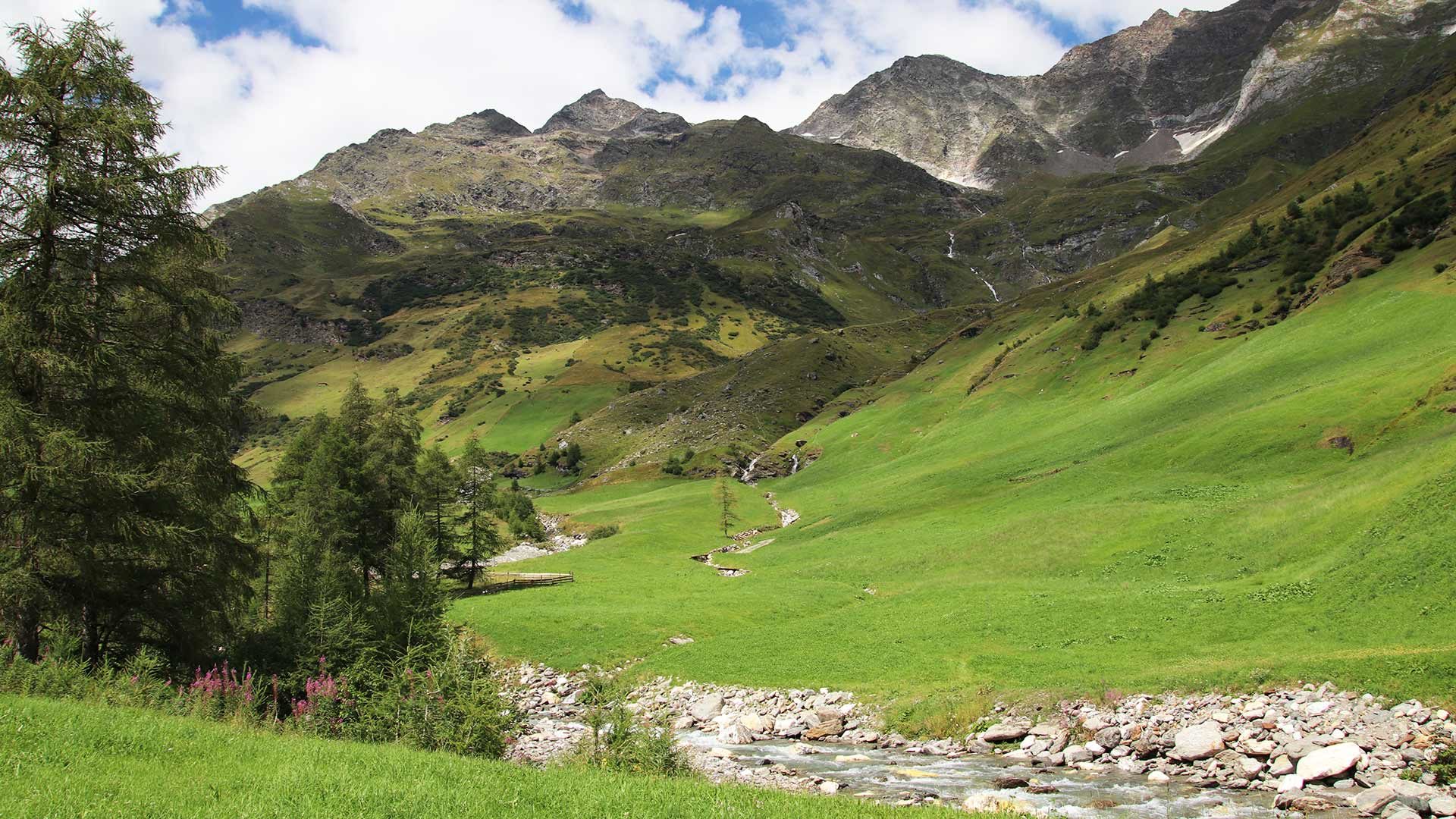 Panoramaweg Hinterpasseier
