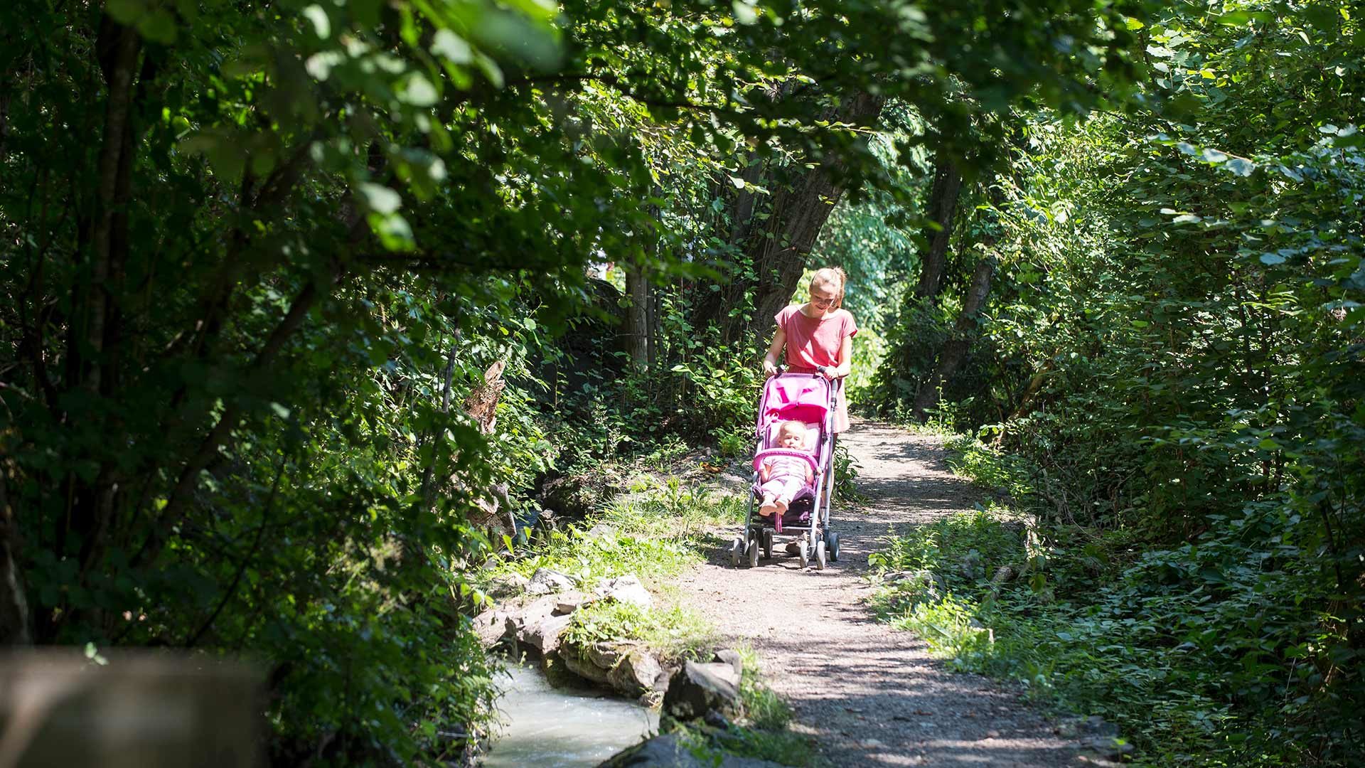 Partschinser Waalweg