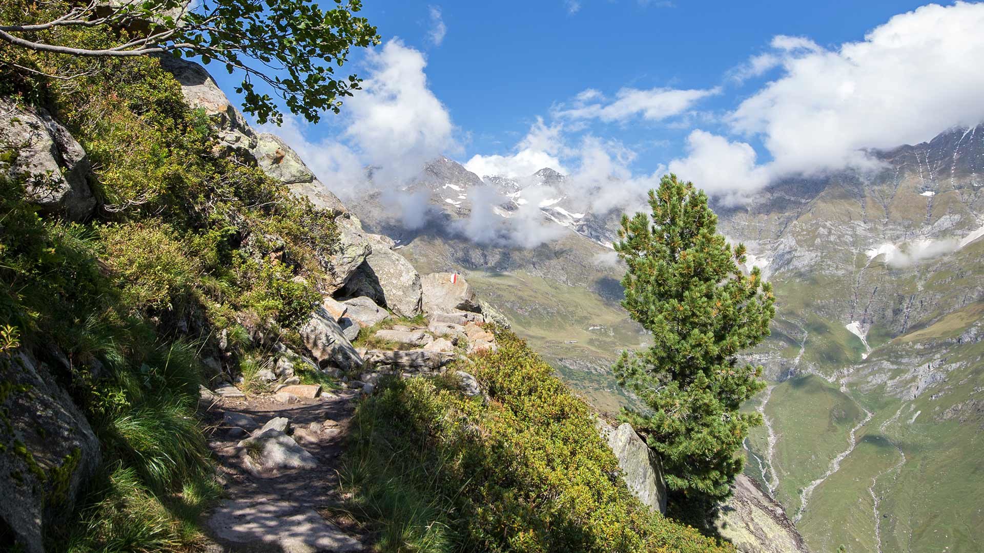 Pfelderer Höhenweg