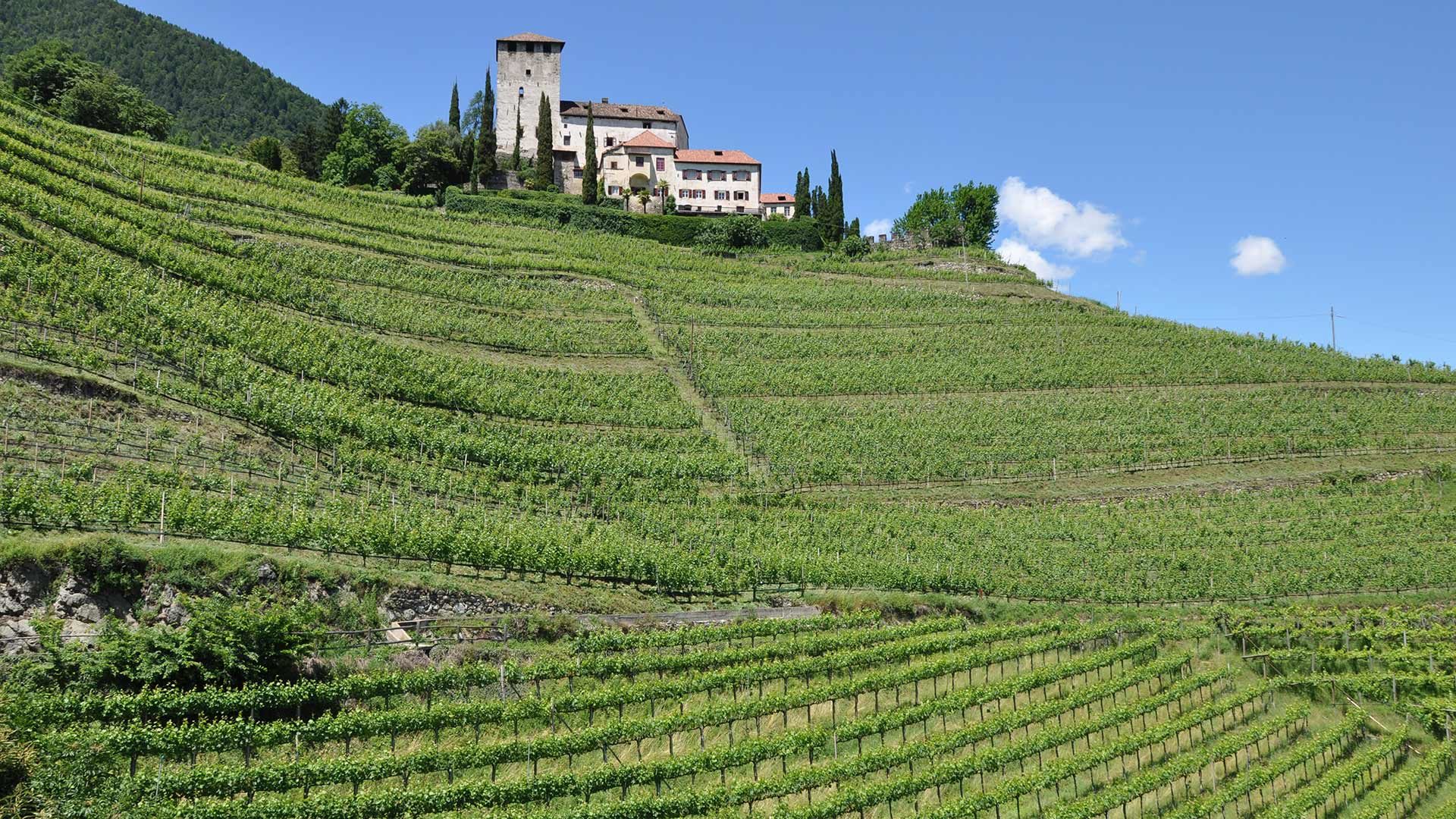 Rundwanderung Schloss Lebenberg