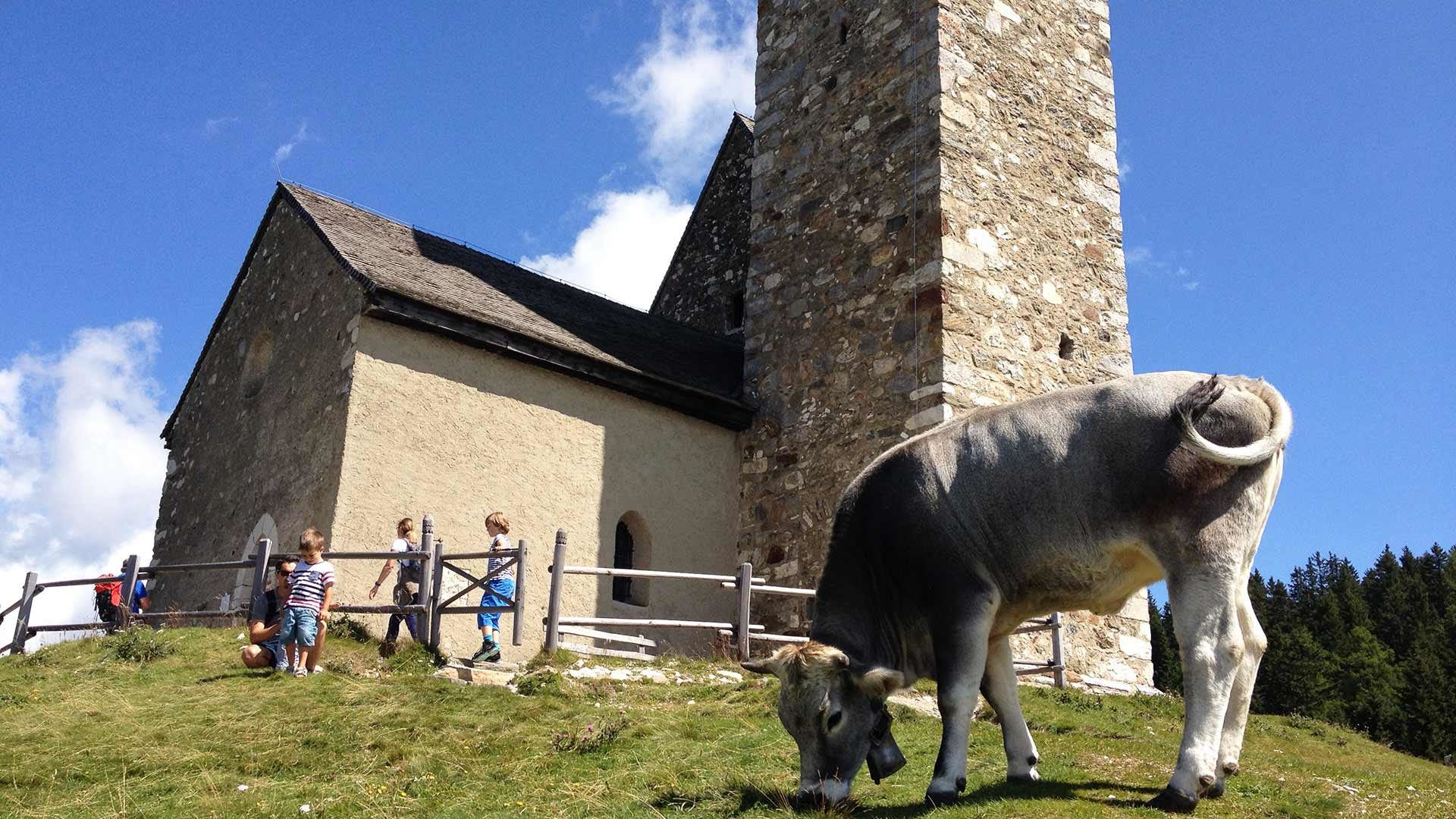 Rundwanderung Vigiljoch