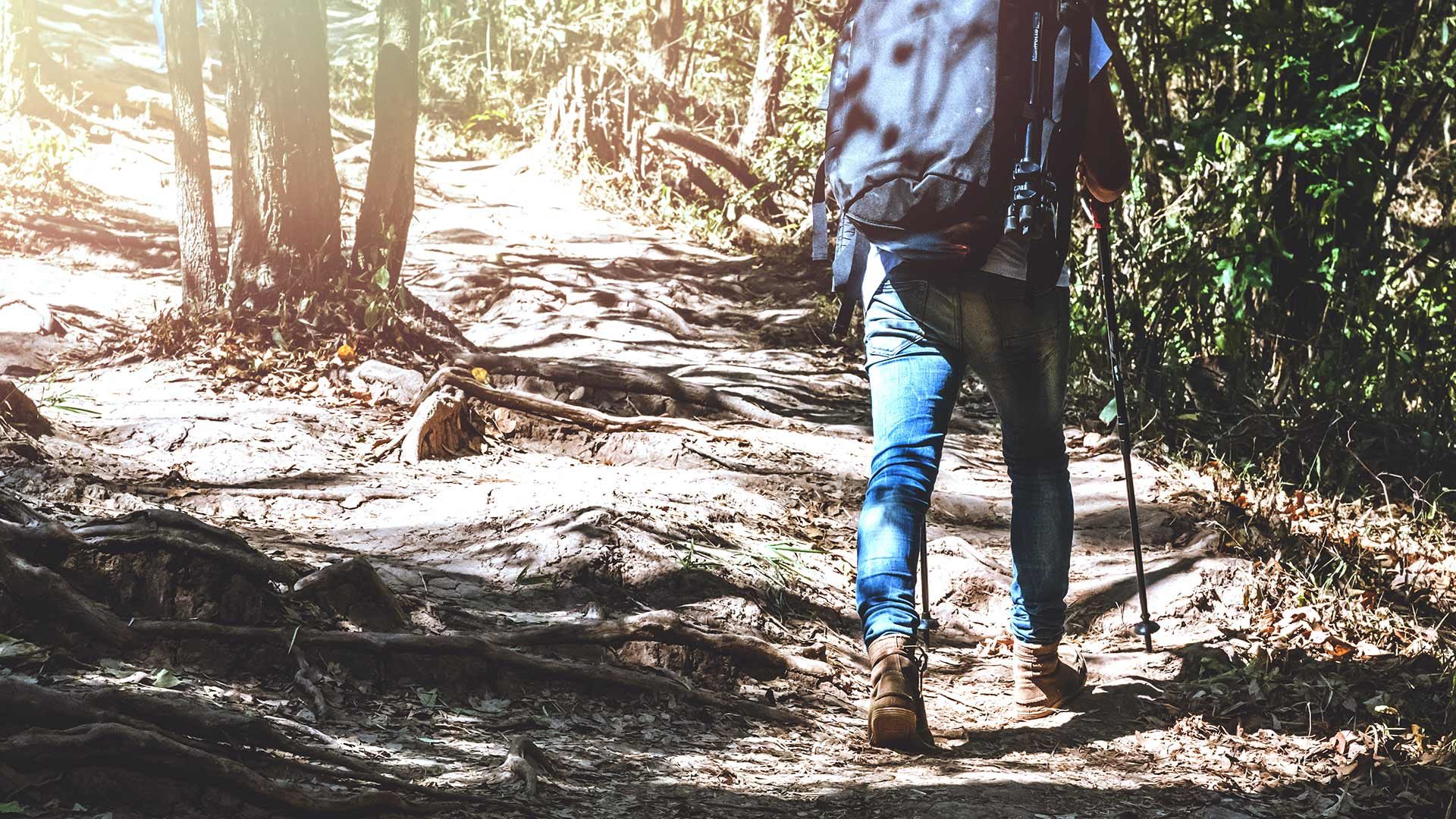 Wanderung zum Schönegg