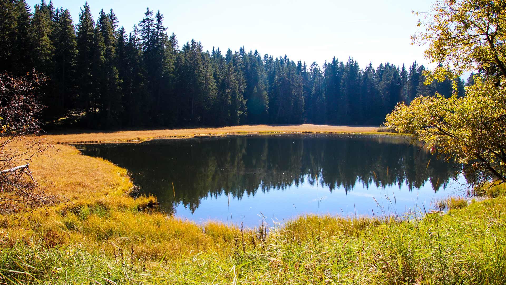 Wanderung zur Schwarzen Lacke