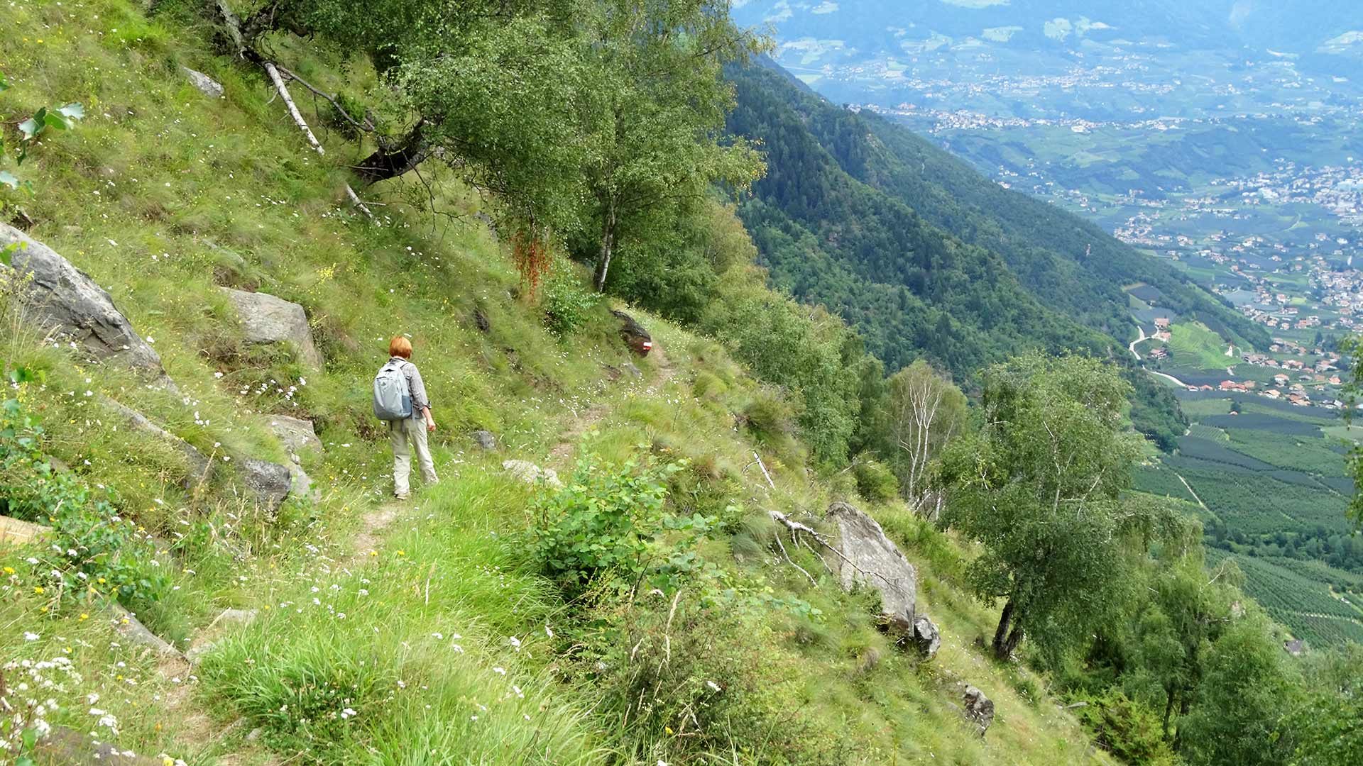 Sonnenberger Höhenweg