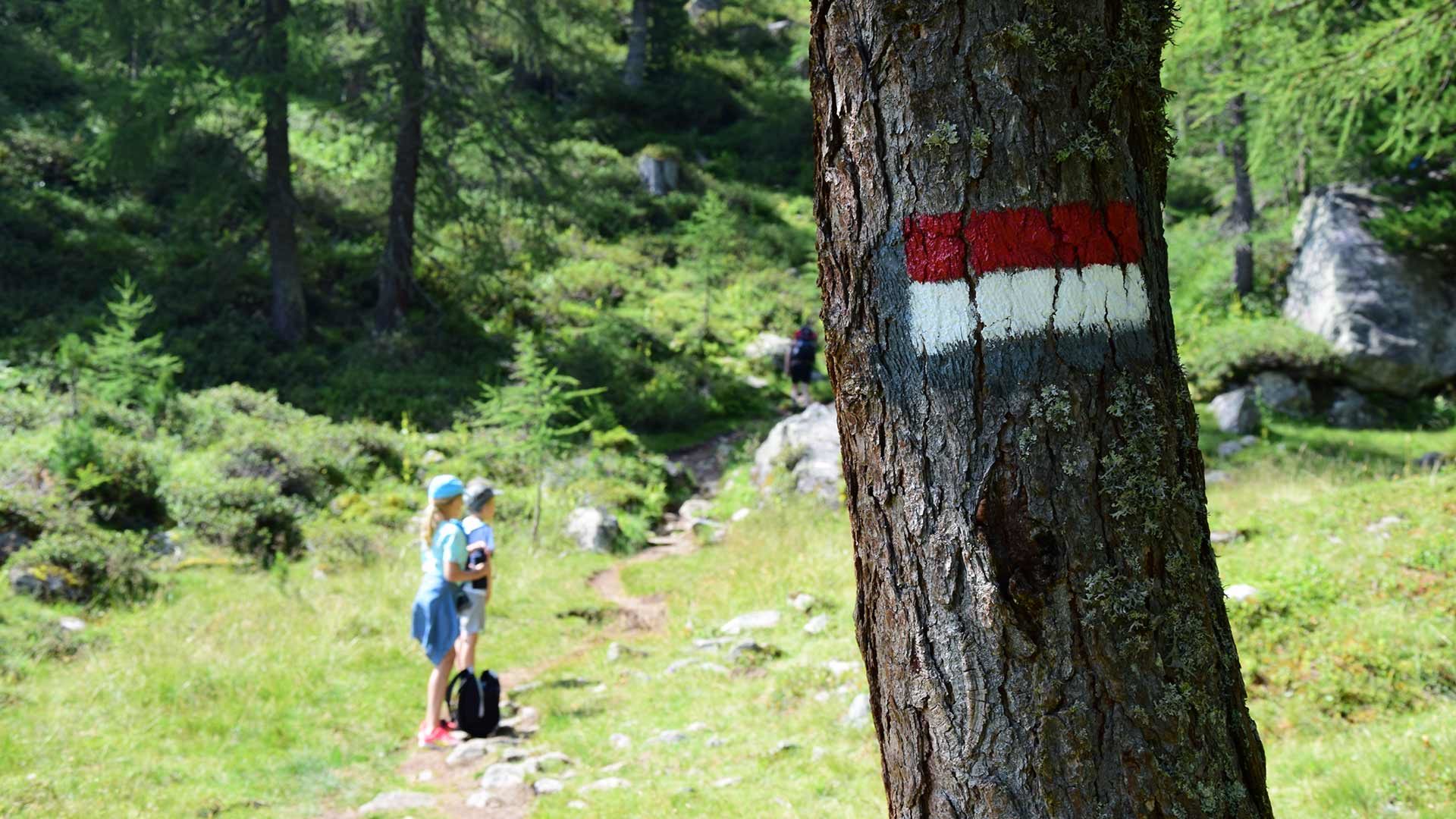 Wanderung zur Stafleralm