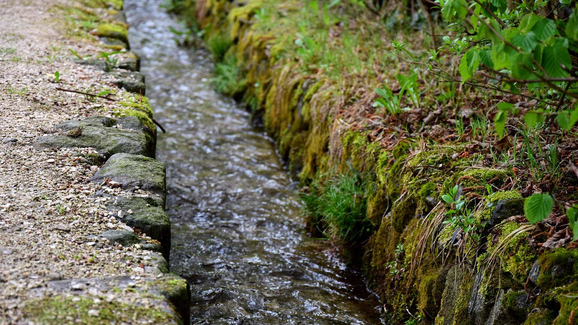 Steinhauser Waalweg