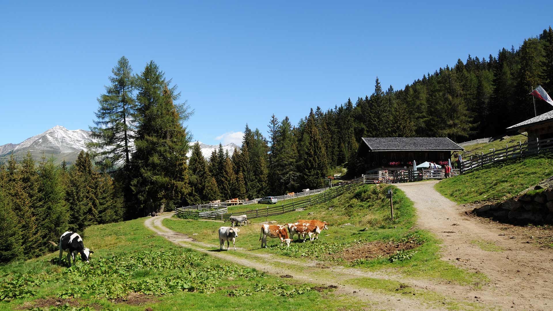 Wanderung Ulfaser Alm
