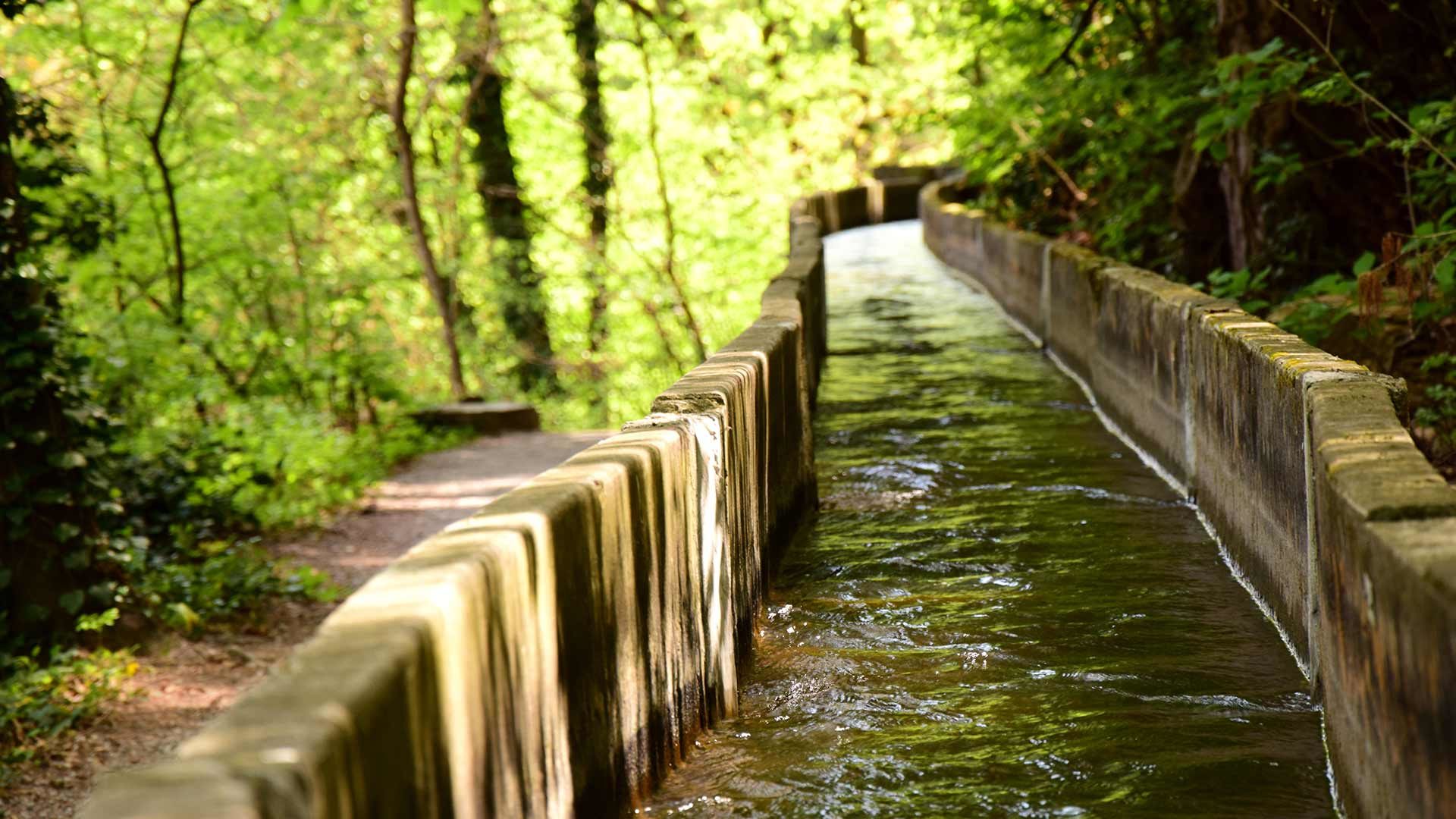 Walderlebnispfad am Marlinger Waal