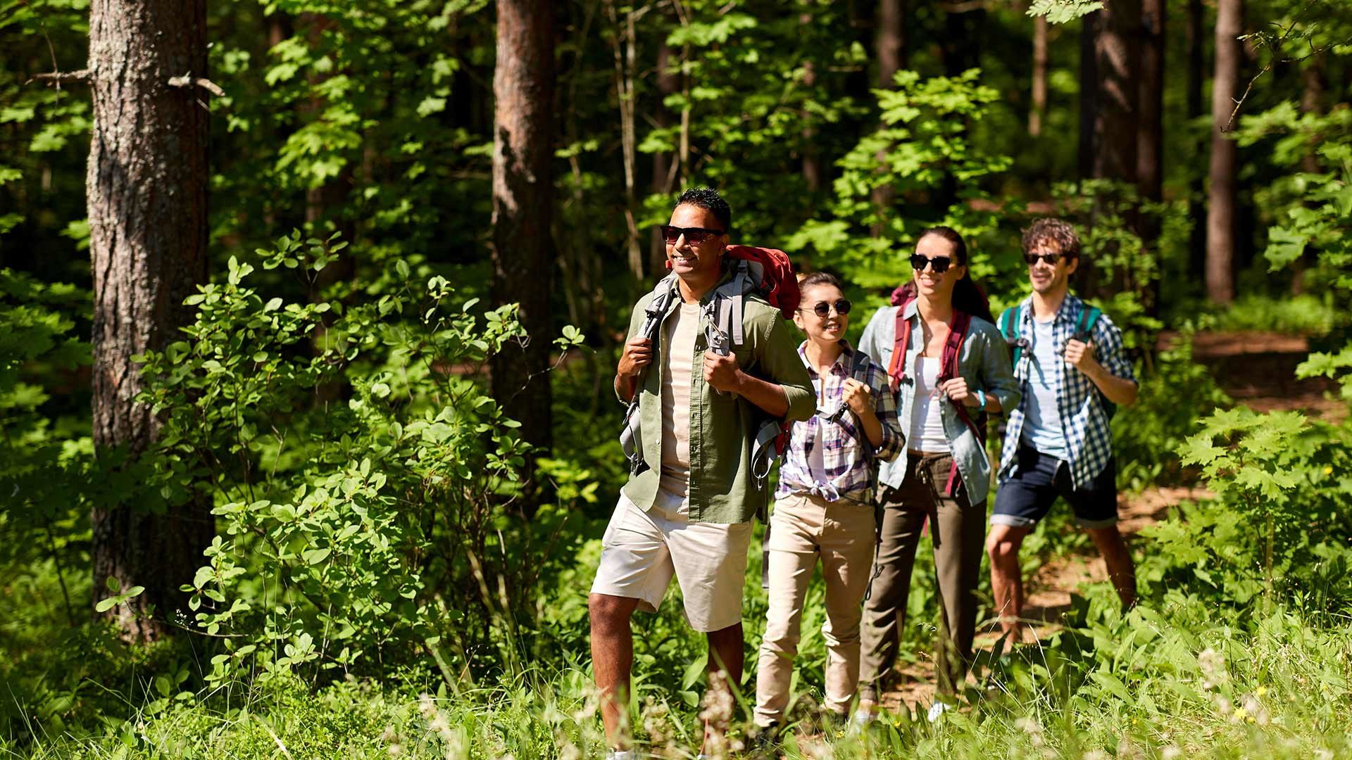 Wanderung am Nörderberg