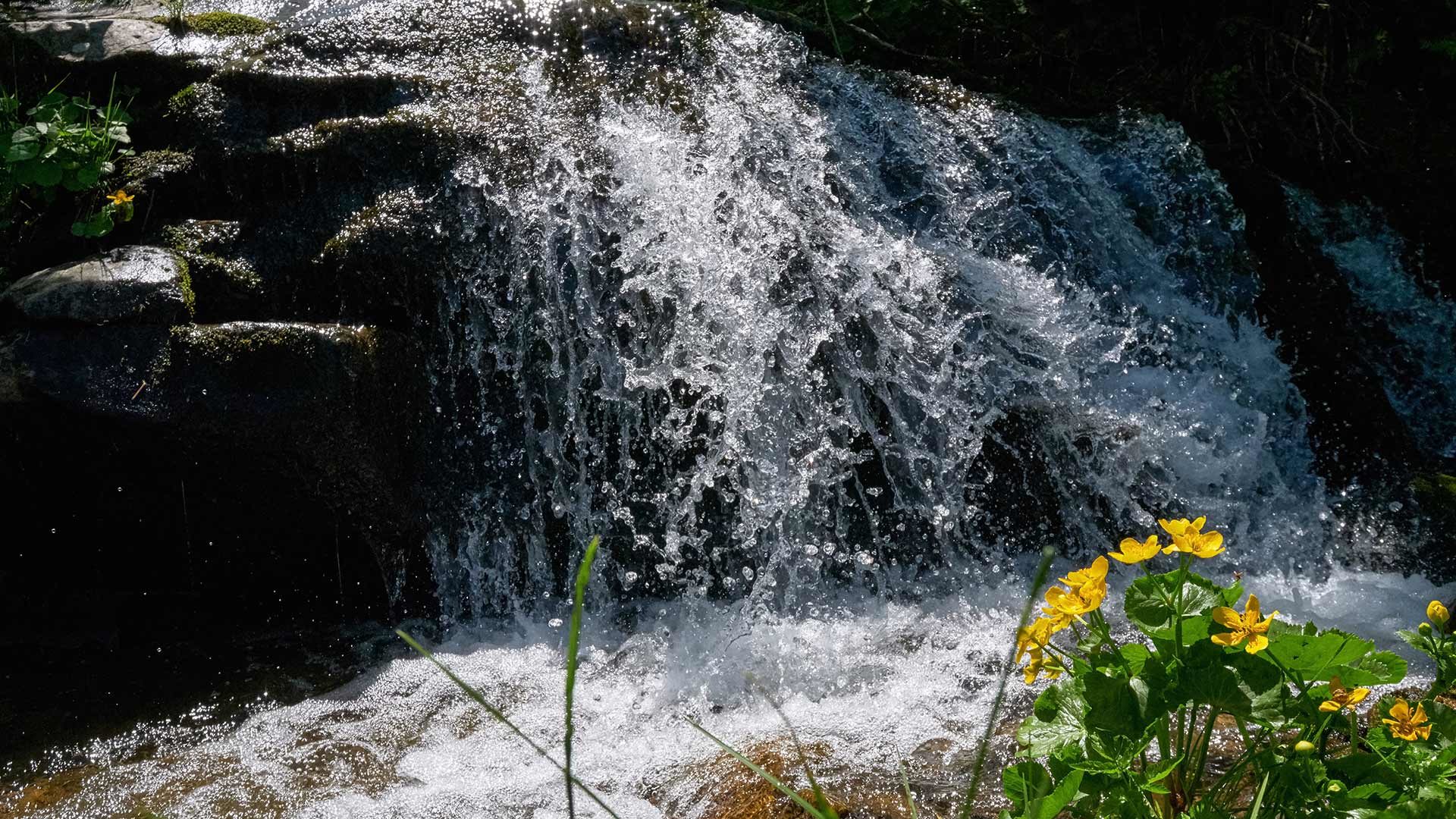 Wasserfall Aschlerbach
