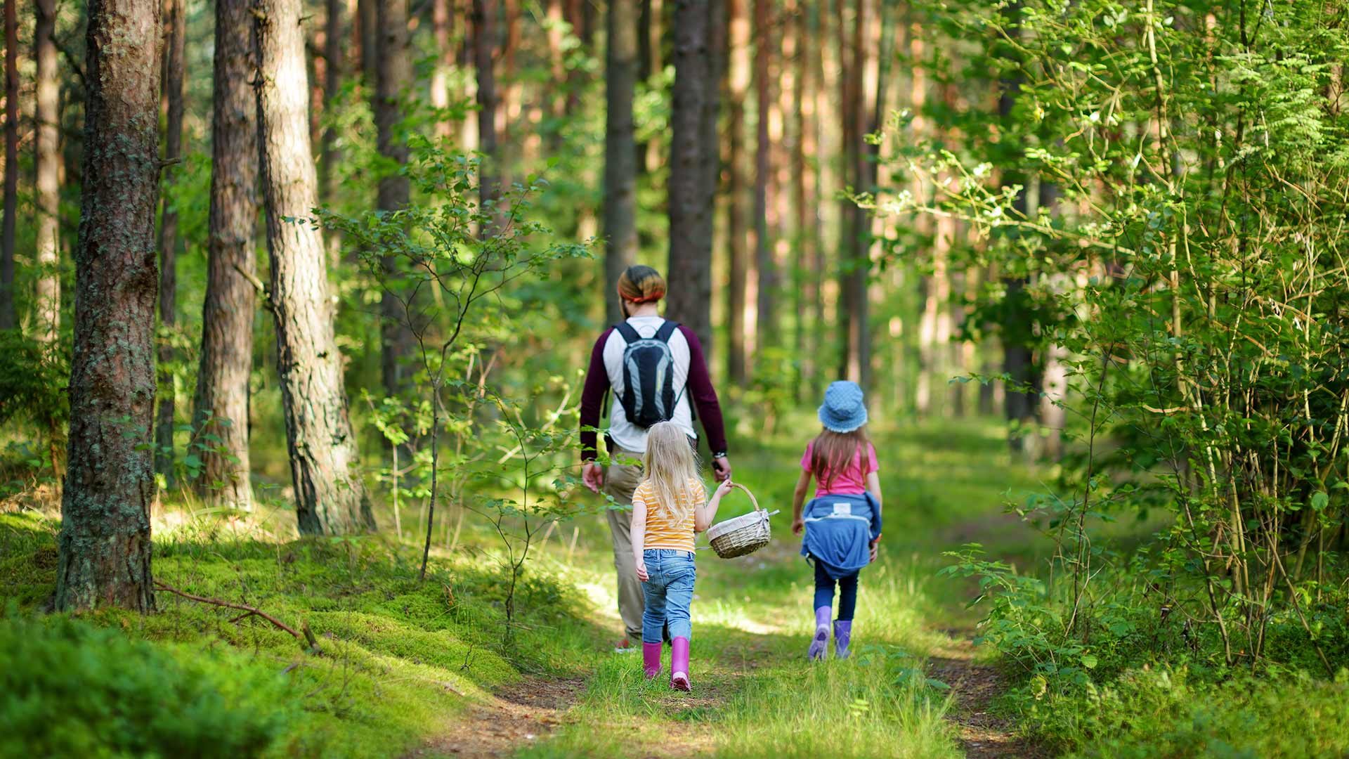 Über den Wieslersteig zum Wieslerhof